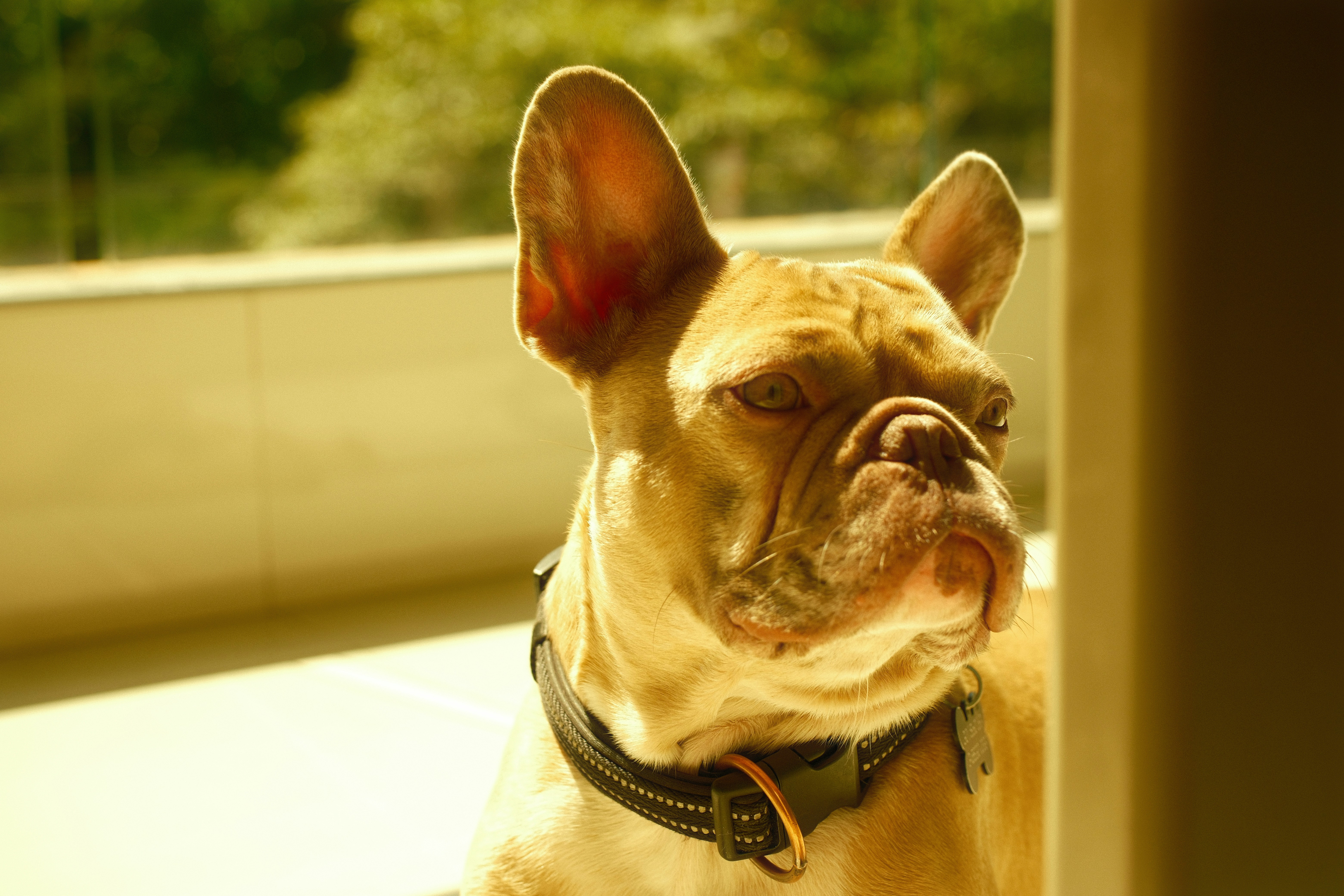 Photo by sebastianvgo