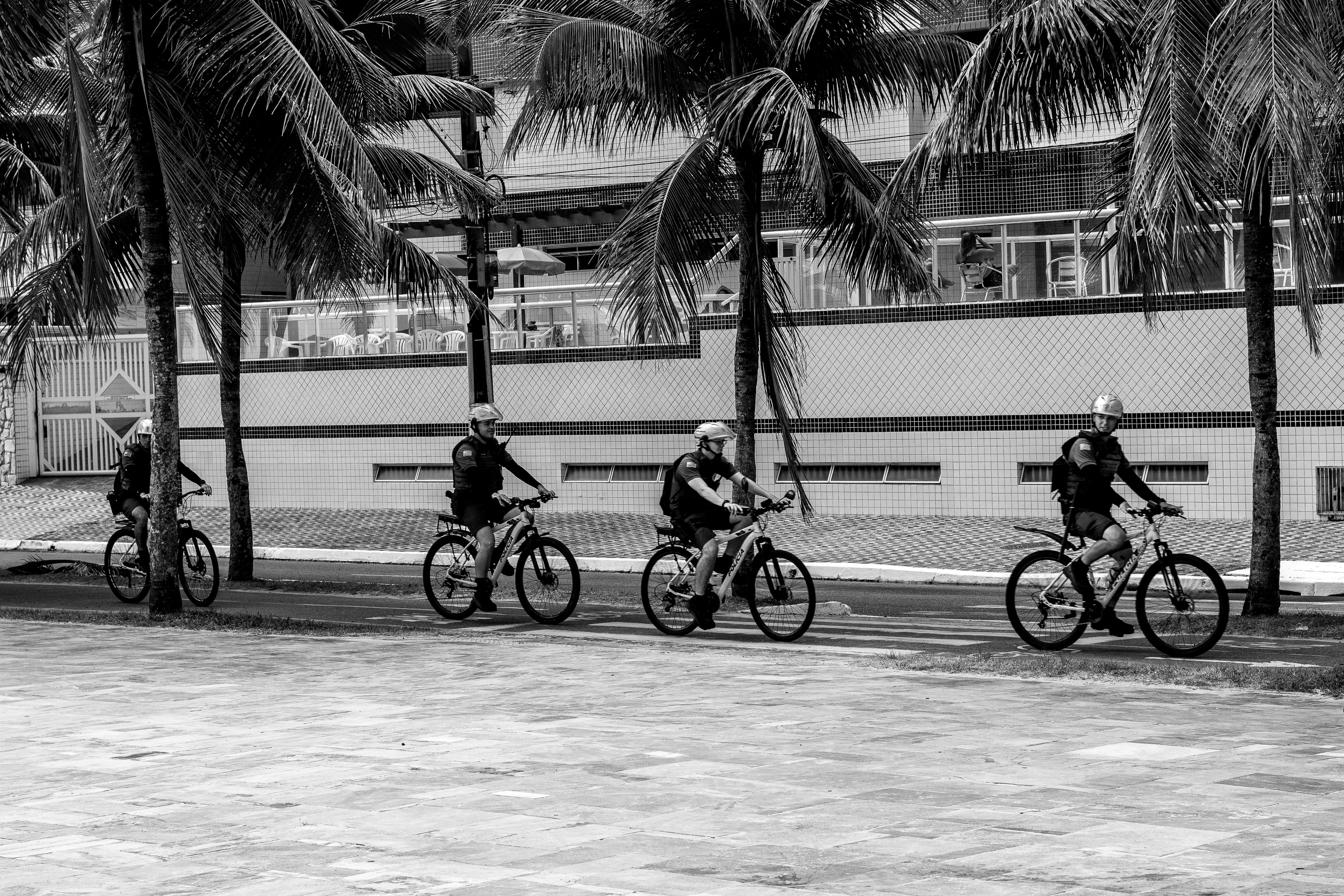 Four people cycling on a path lined with palm trees.