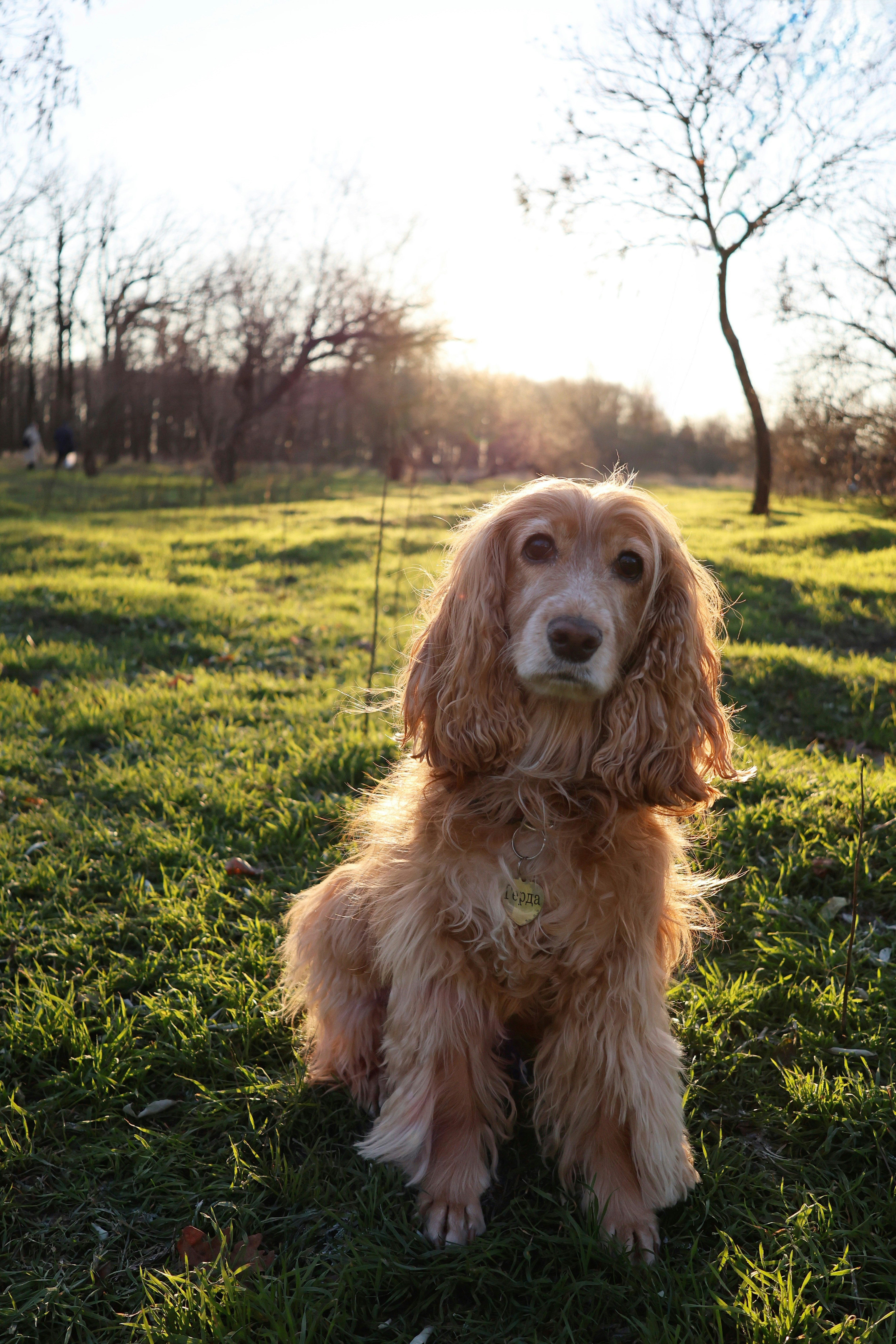 Photo by mariia_mariia