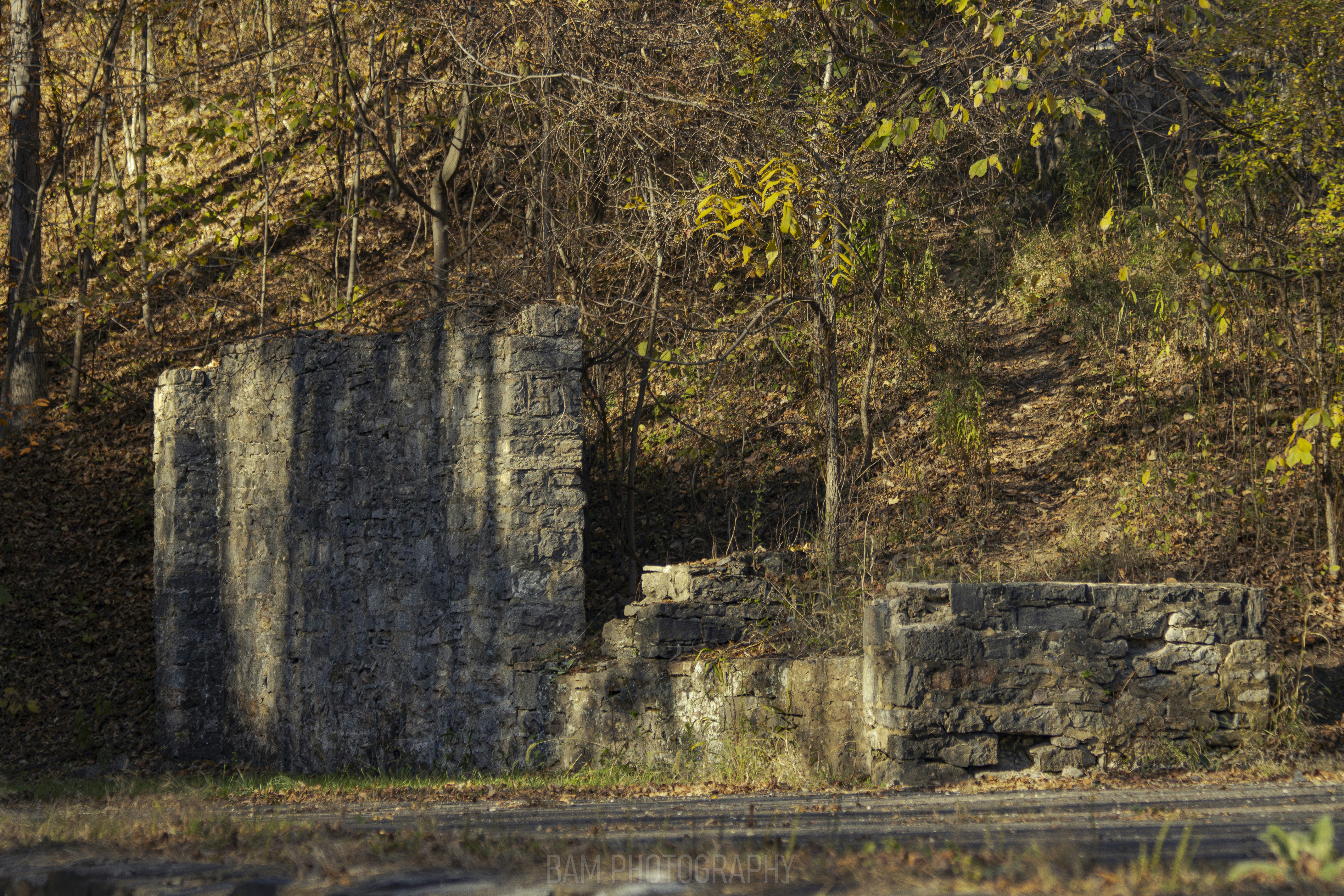 Photo by bamphotography