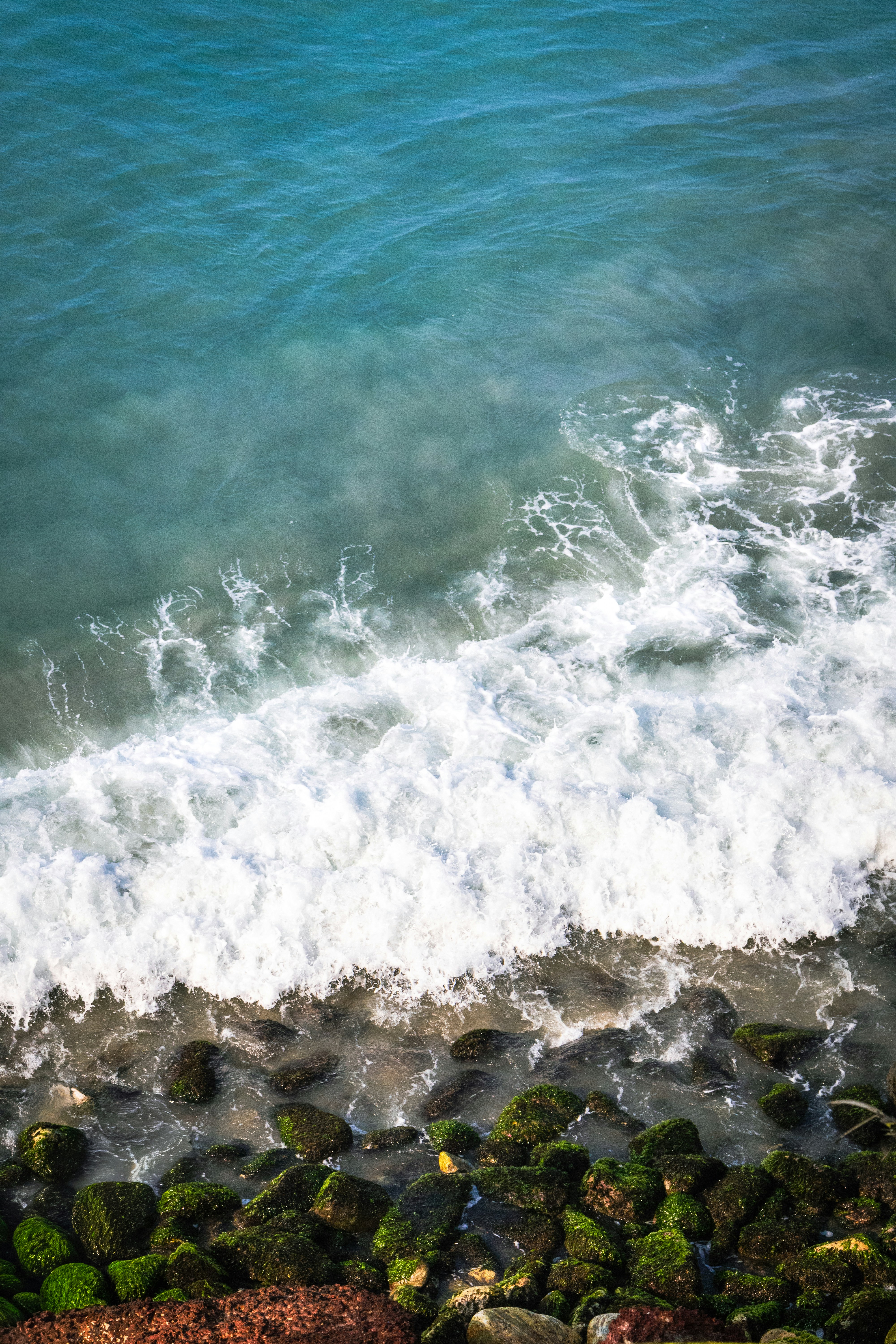 Photo by sameer_srivastava