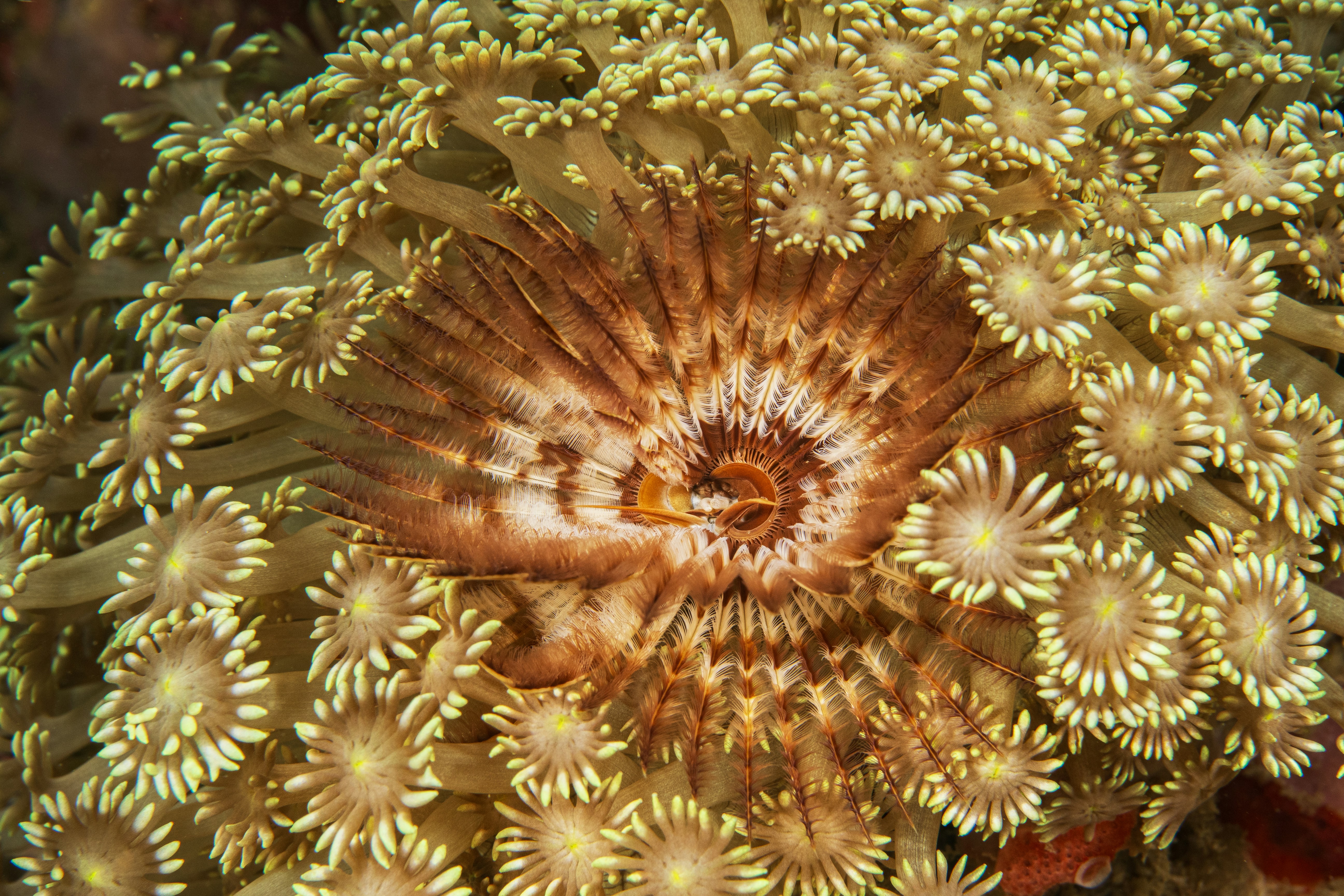 Photo by pascalvendel