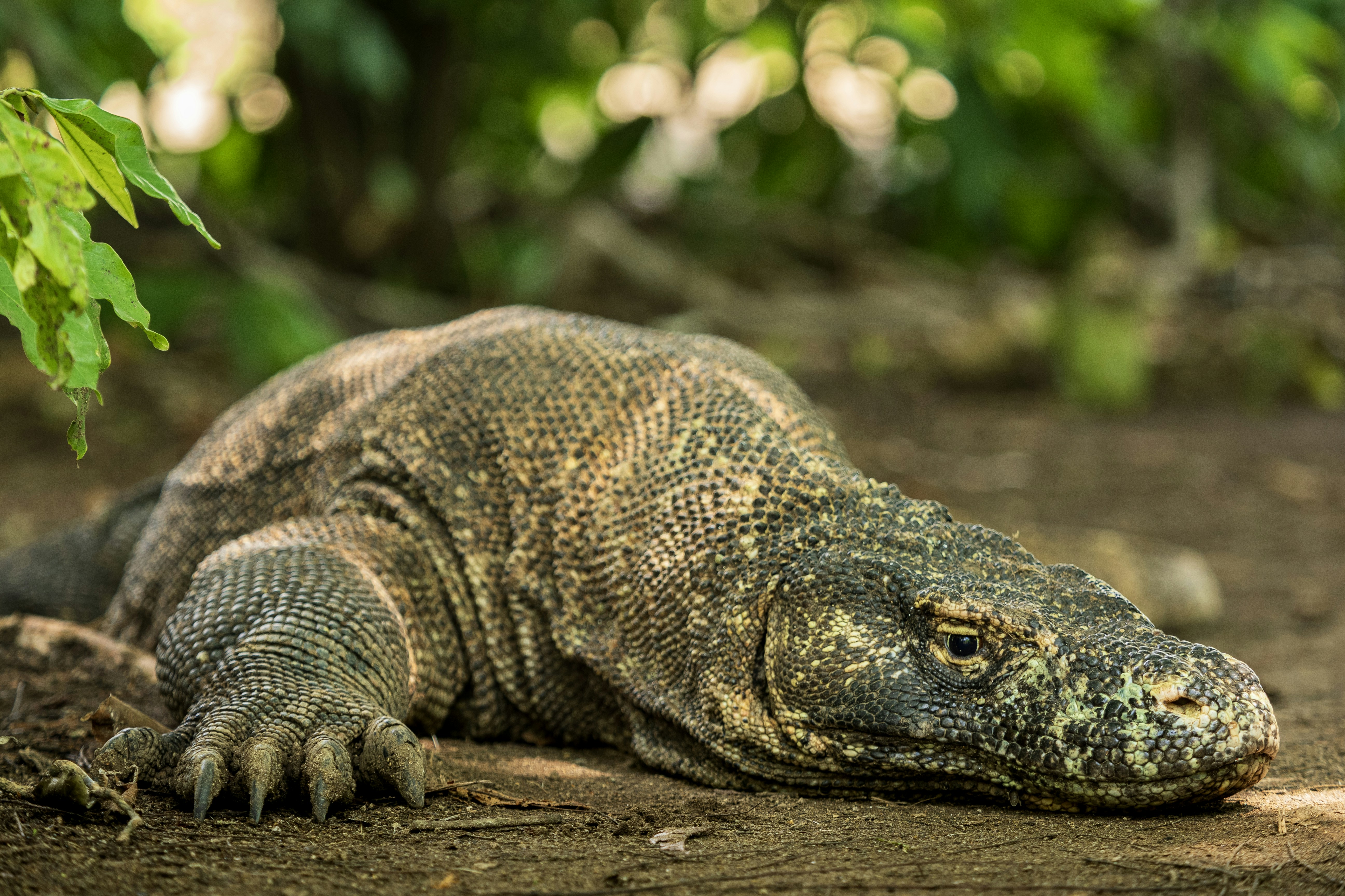 Photo by pascalvendel