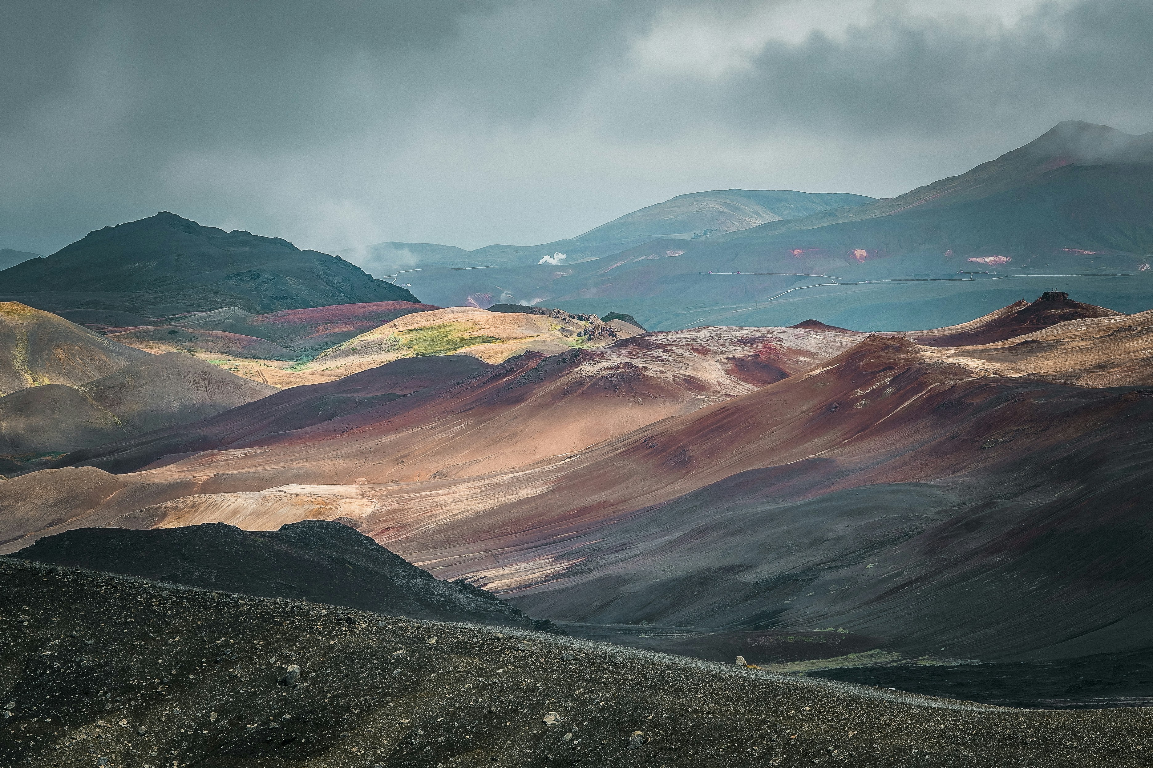 Photo by danny_rienecker