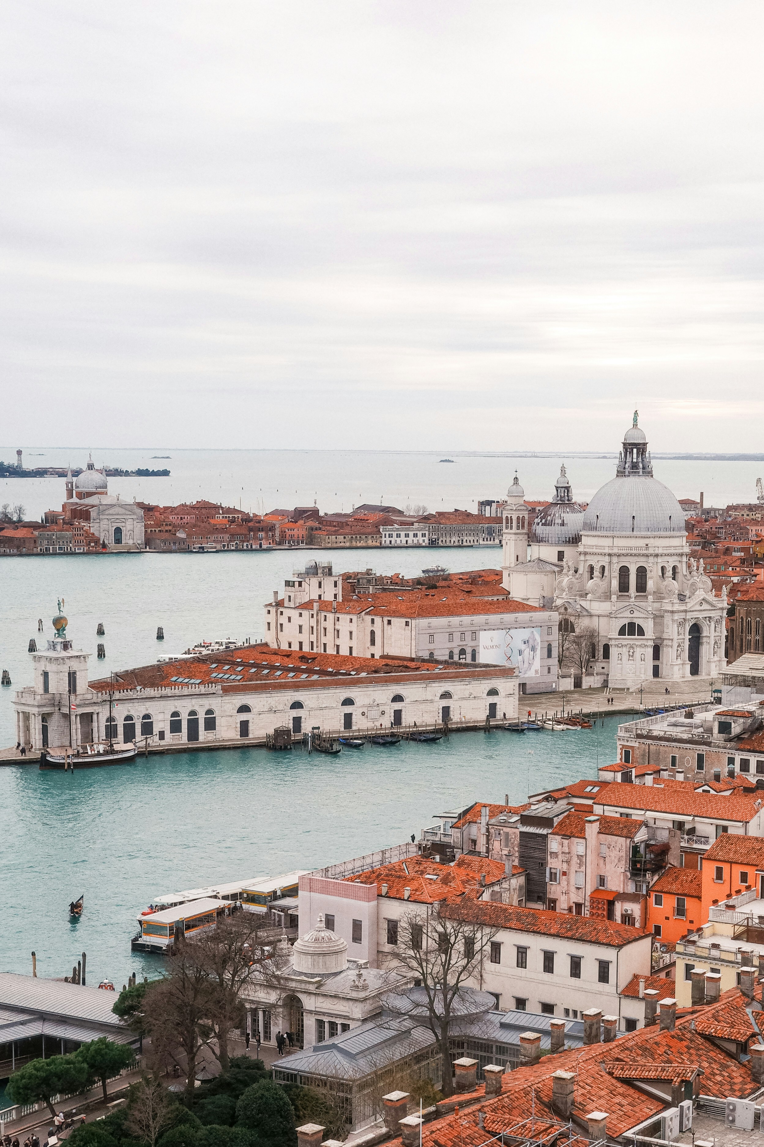 Photo by cgomreephoto