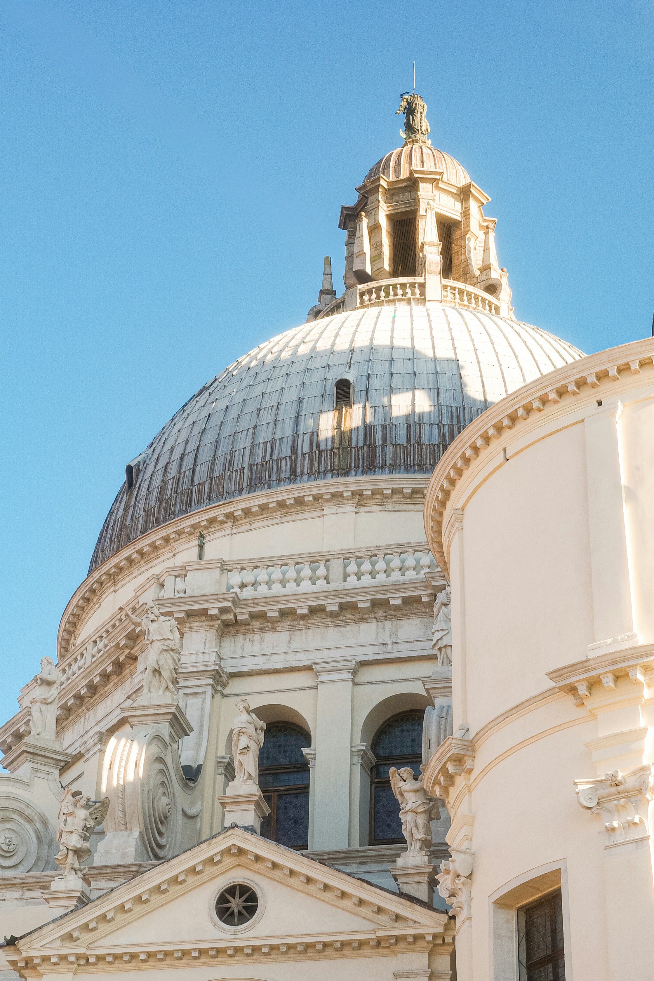 Photo by cgomreephoto