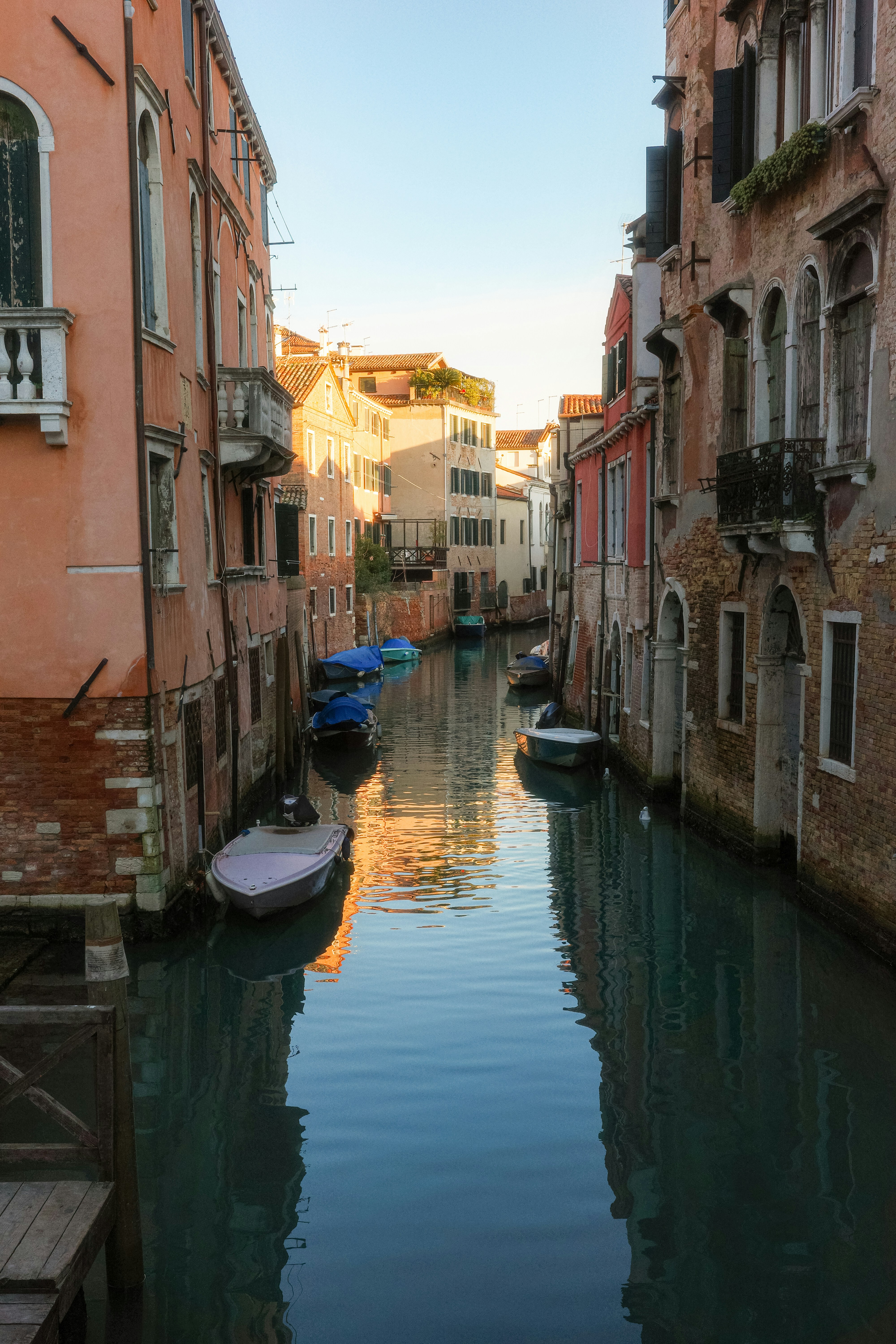 Photo by cgomreephoto