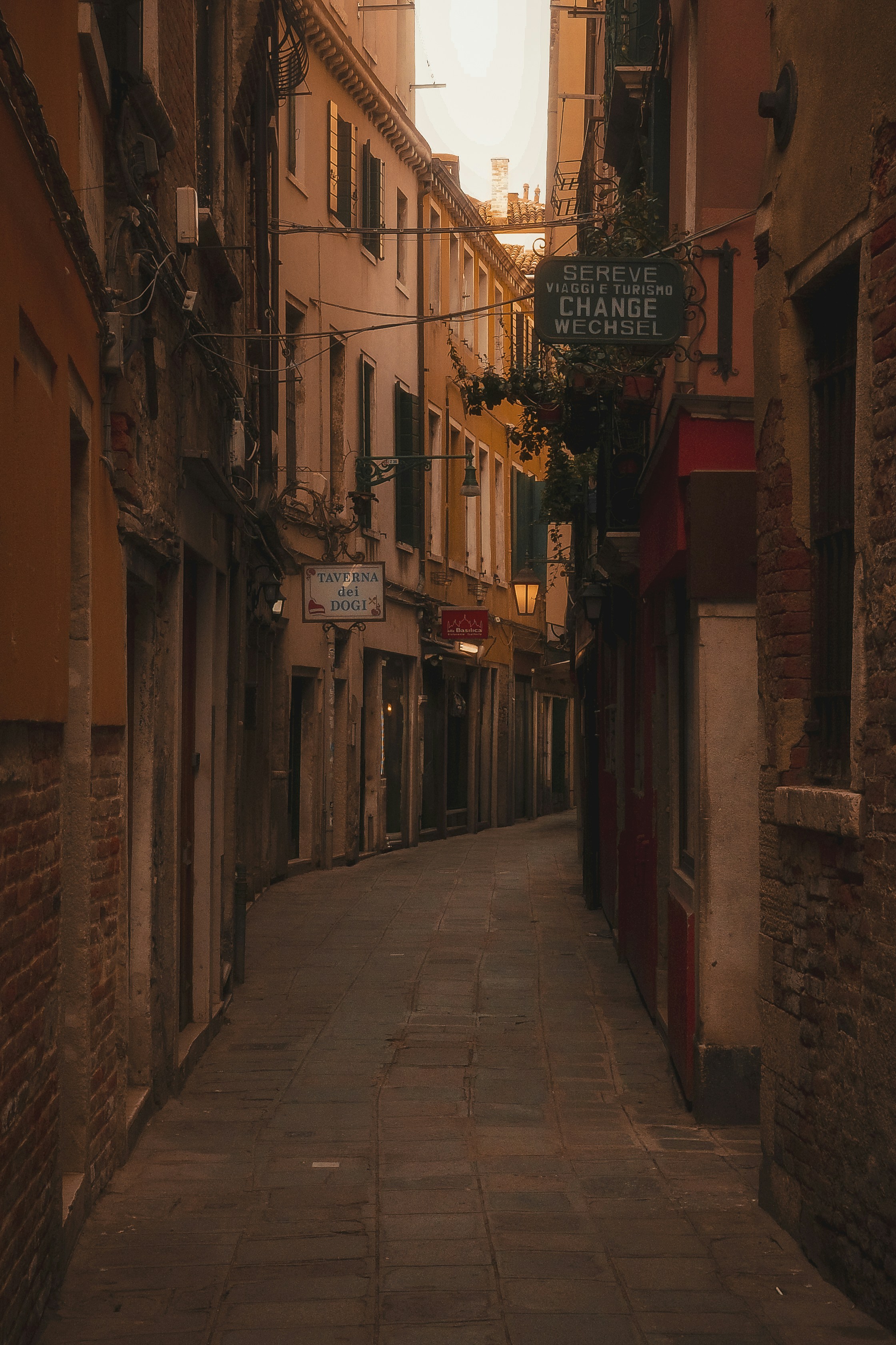 Photo by cgomreephoto