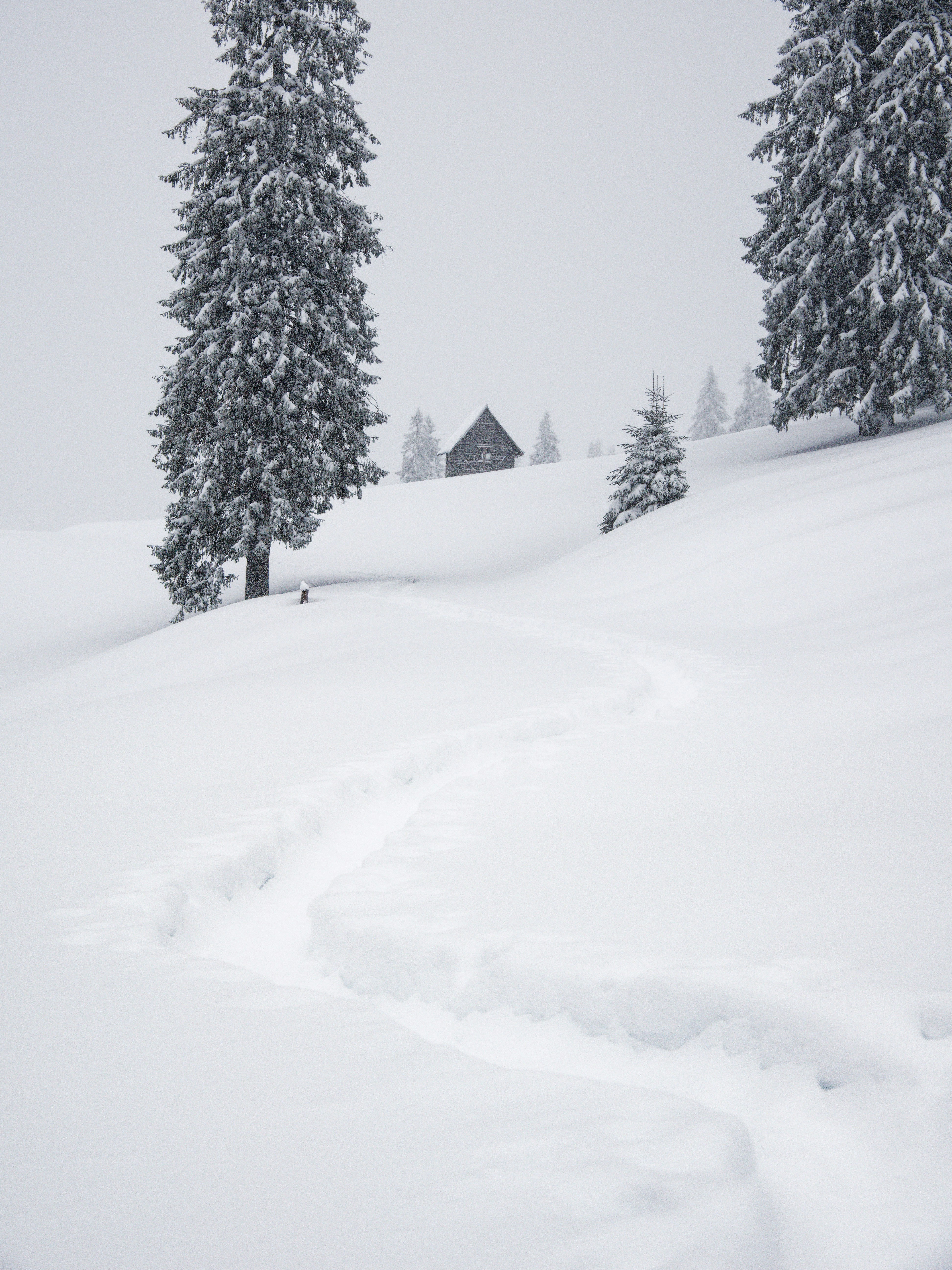 Snowy path leading to a cabin in the mountains.
