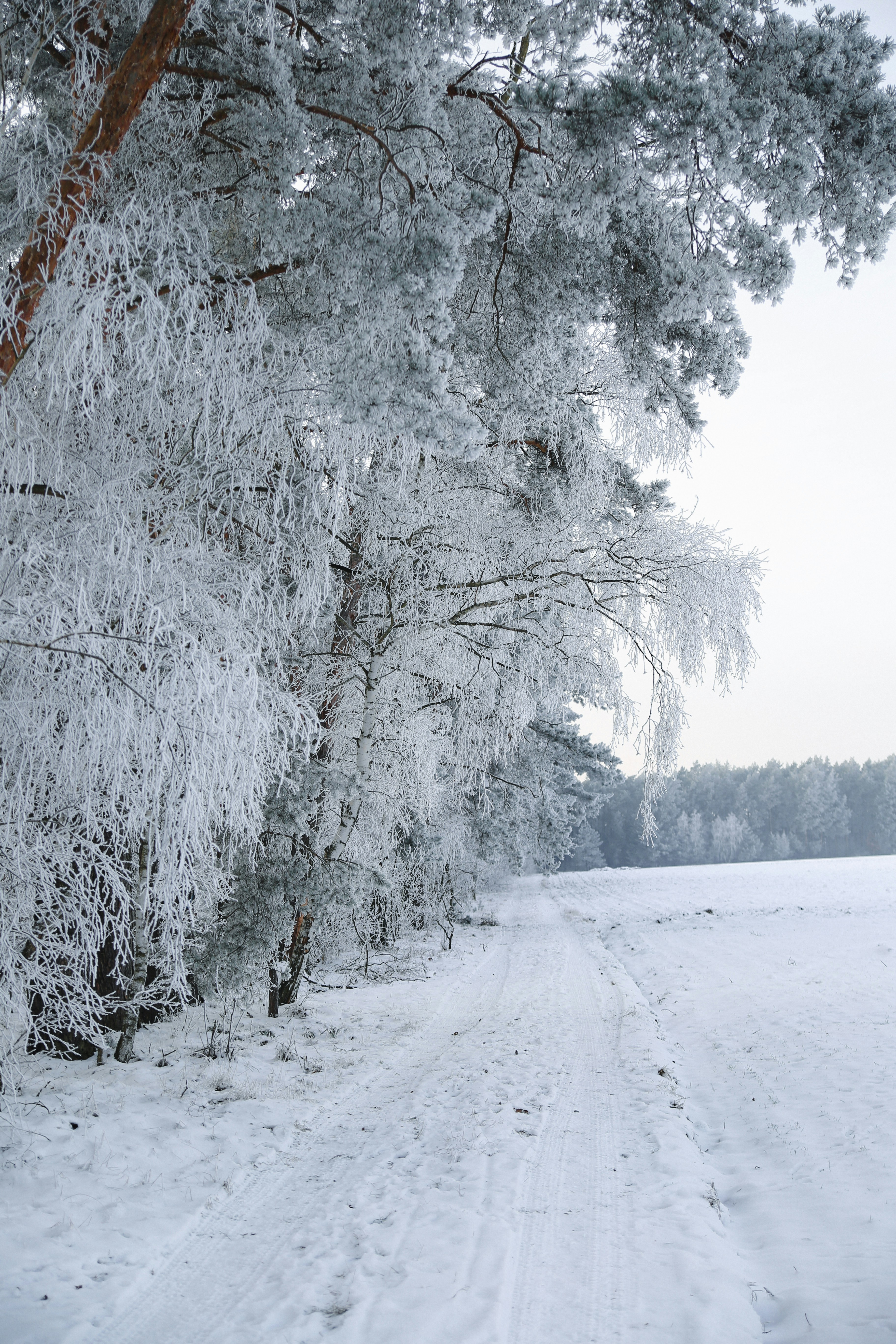 Photo by xvictoriafeliniak