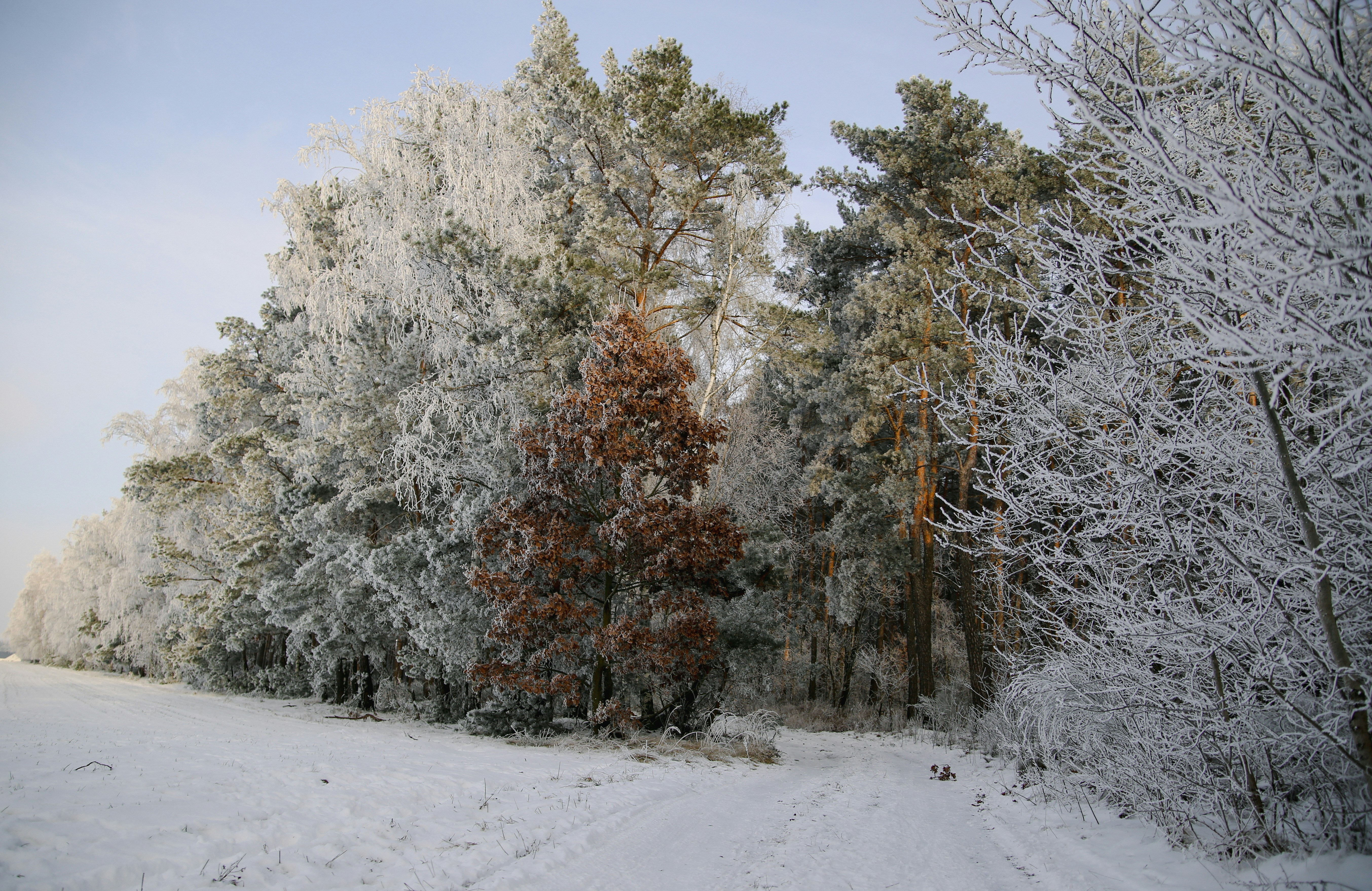 Photo by xvictoriafeliniak