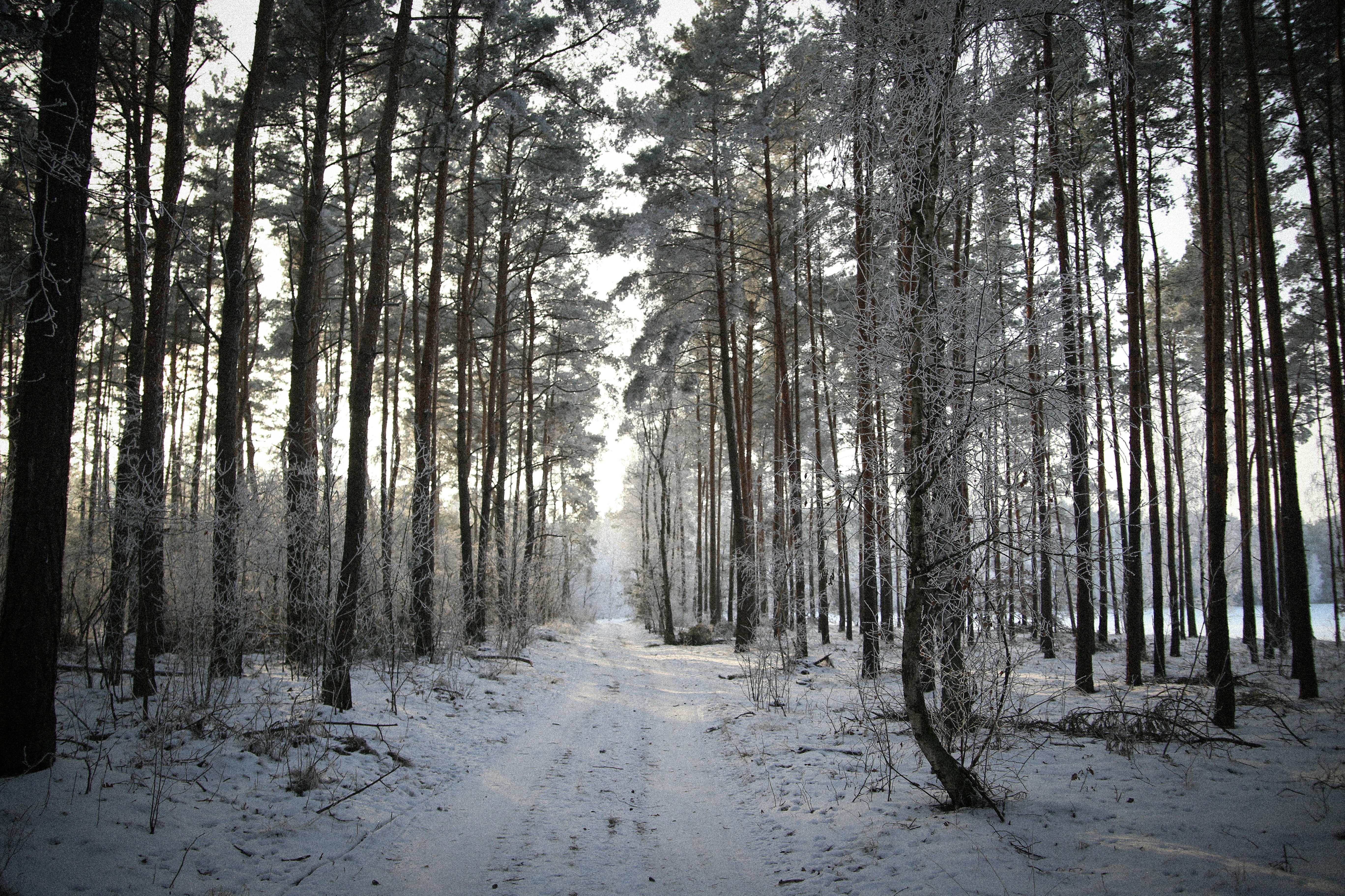 Photo by xvictoriafeliniak