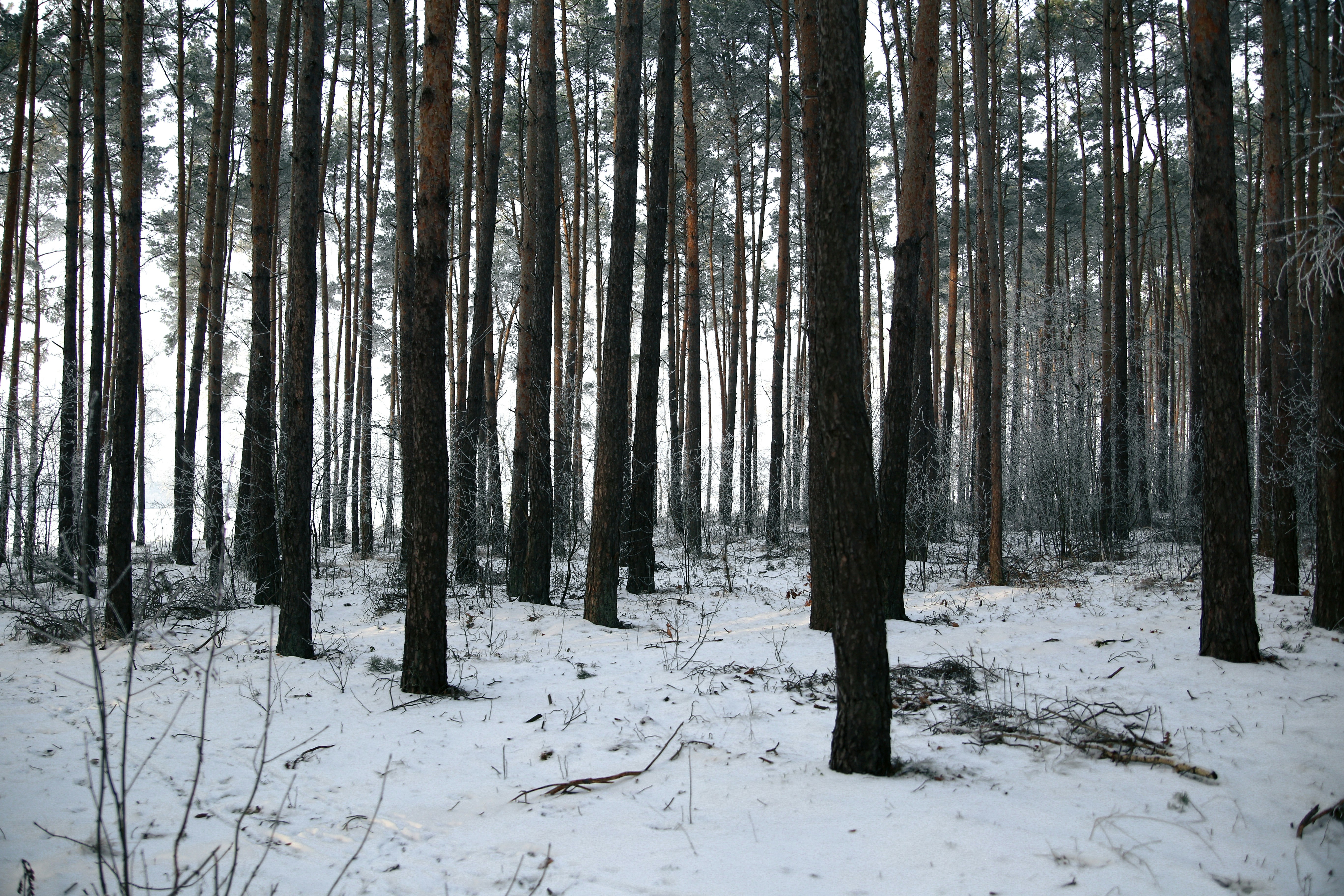 Photo by xvictoriafeliniak