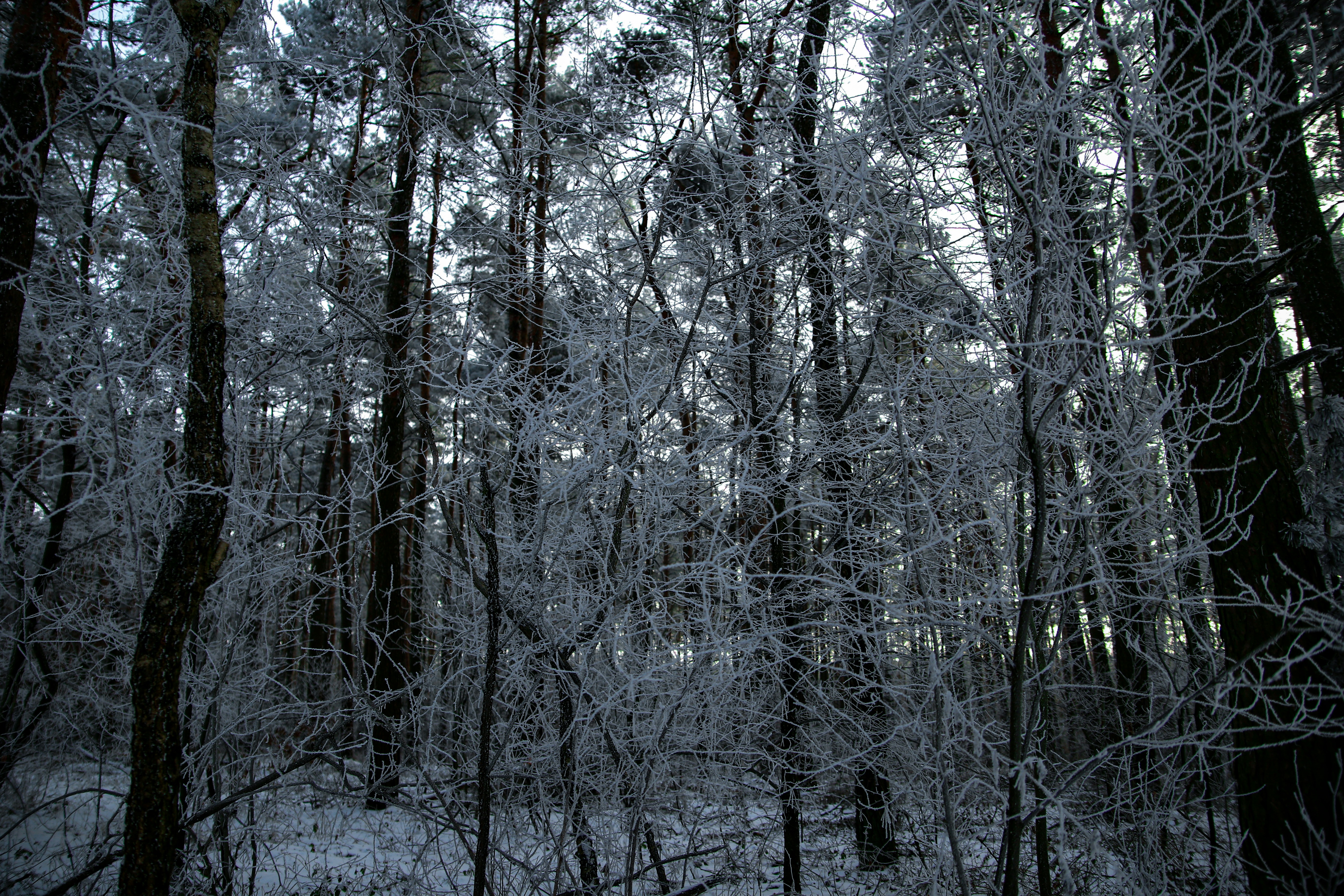 Photo by xvictoriafeliniak