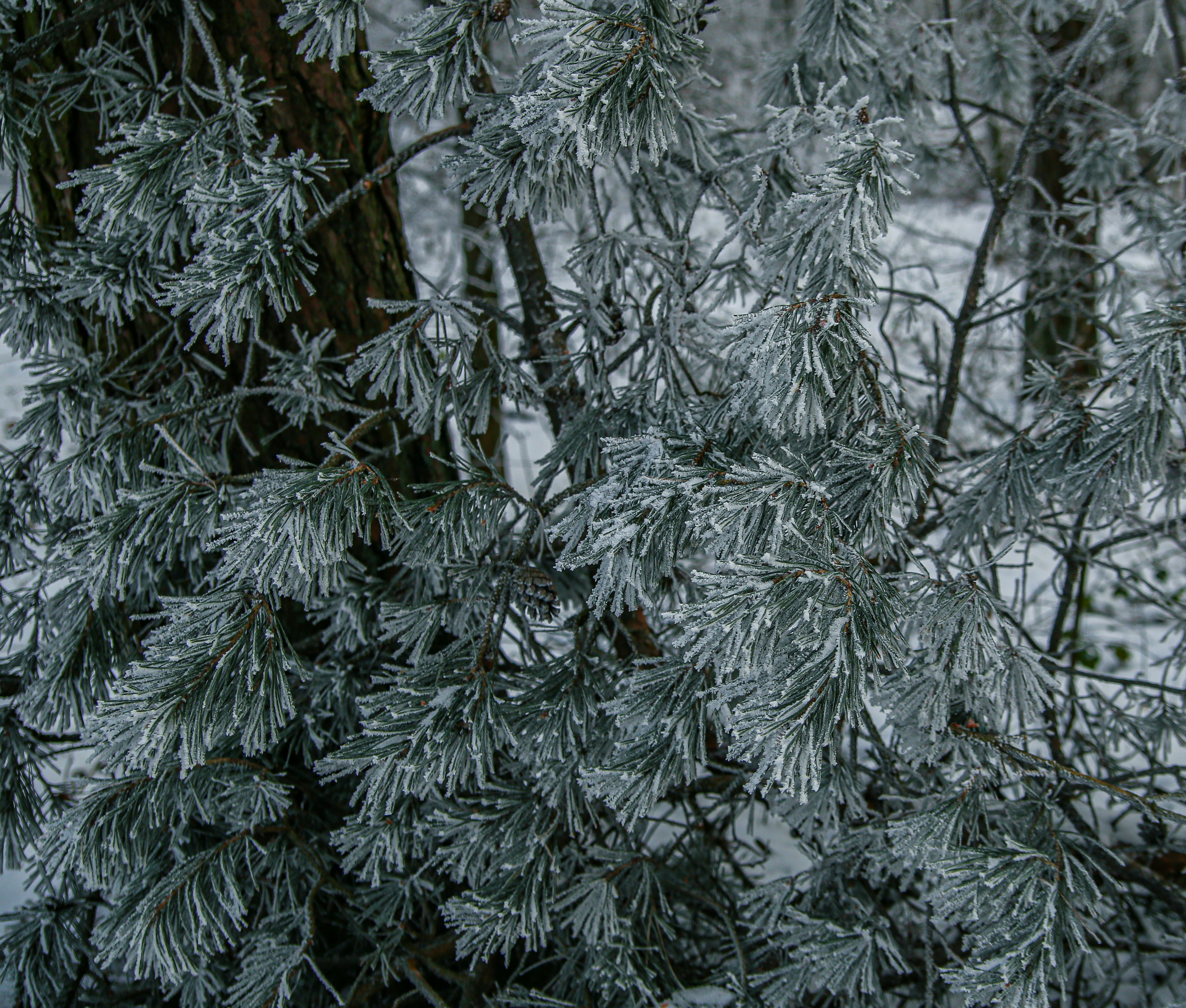 Photo by xvictoriafeliniak