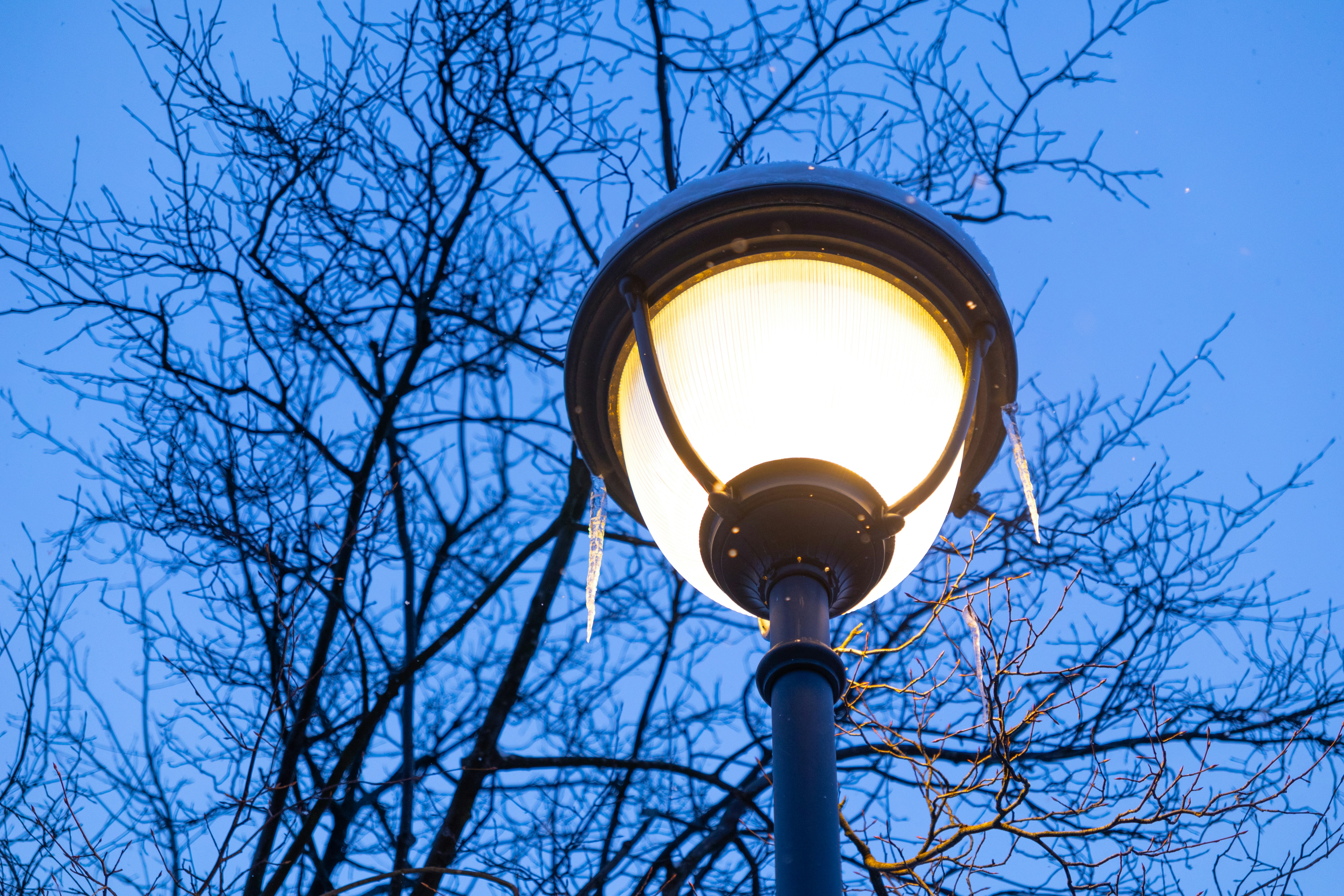 Photo by anna_photo_yozh