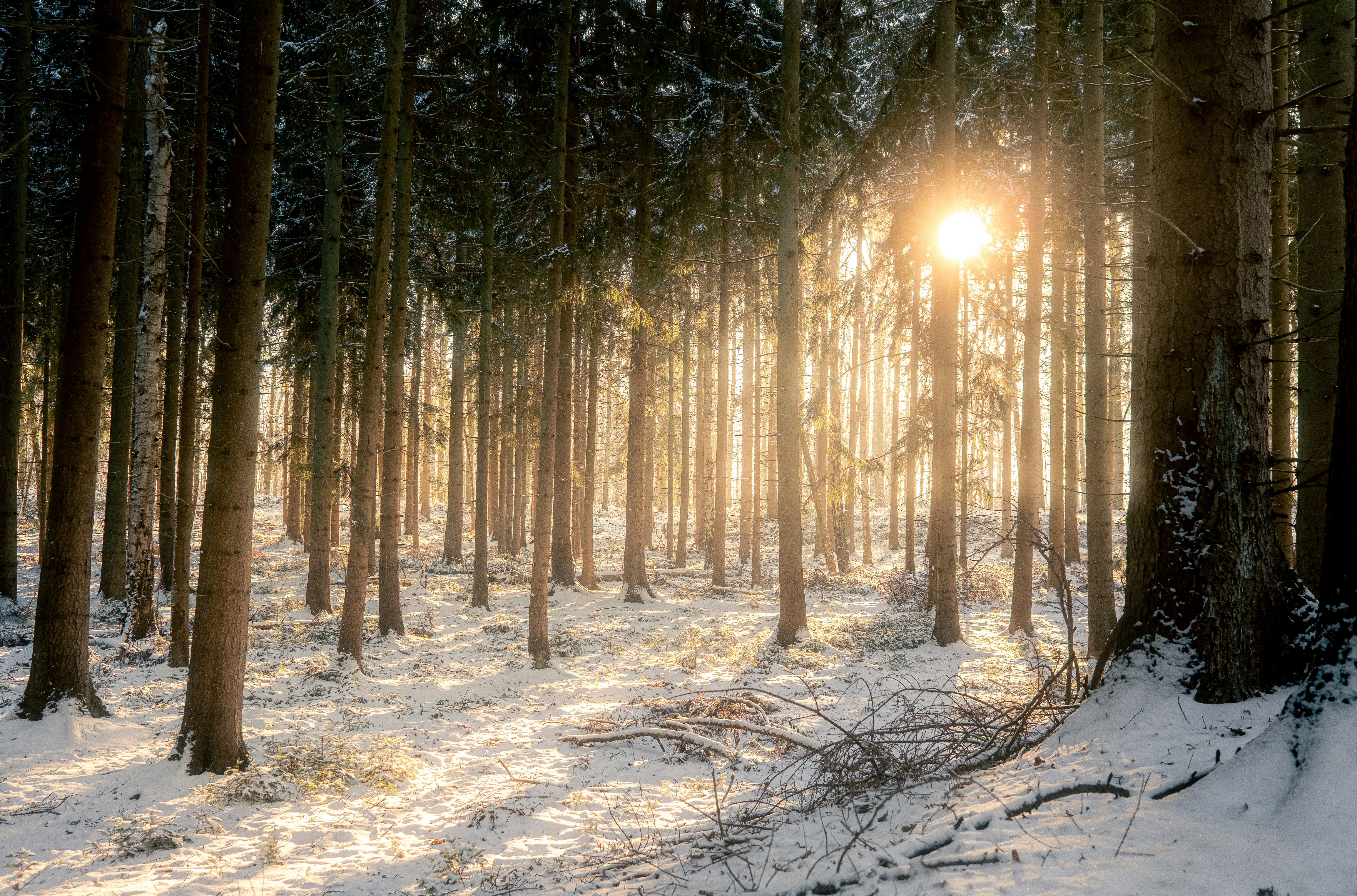 React Hooks 완전 정복