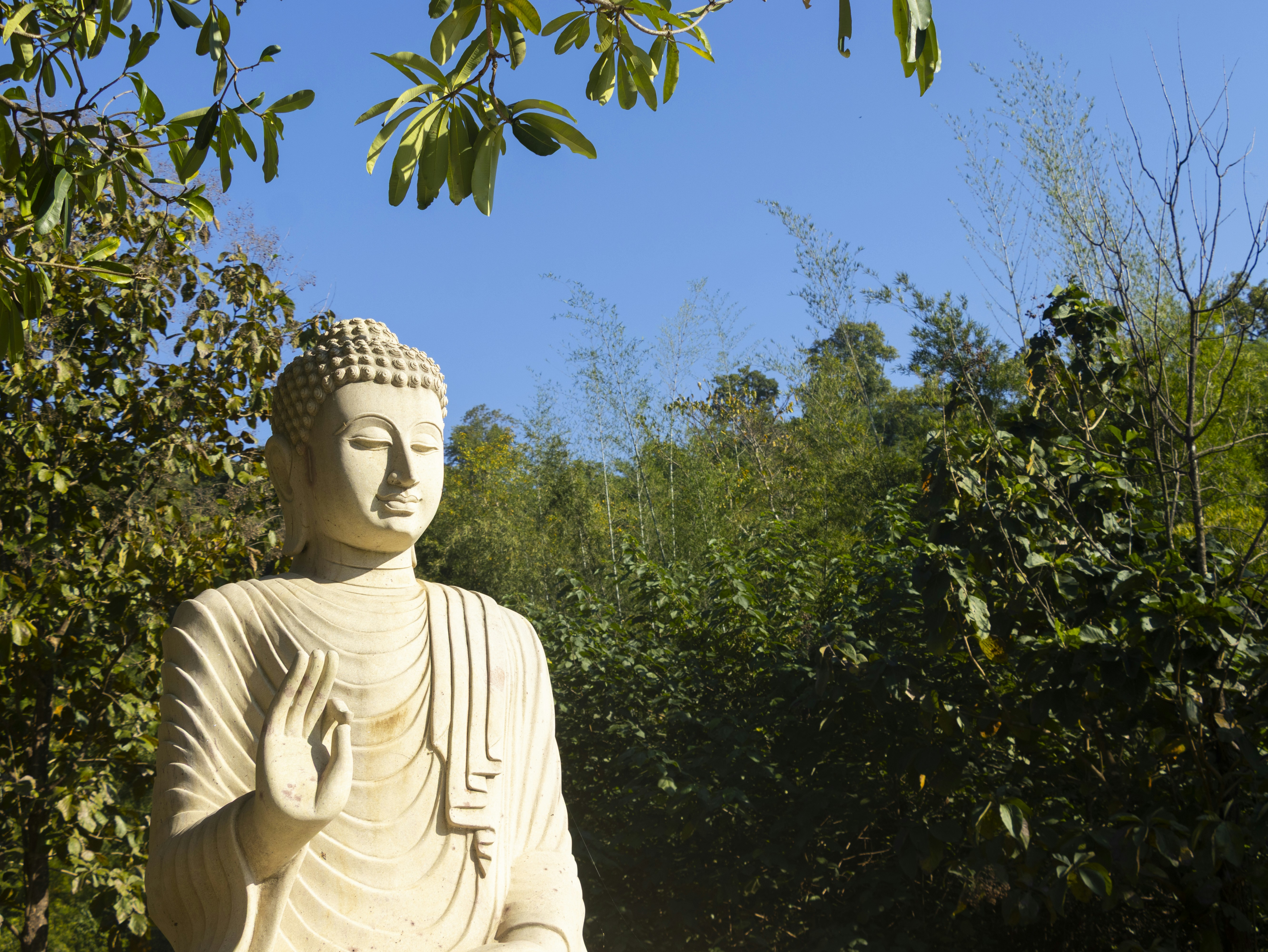 Stone buddha statue in a lush green garden.