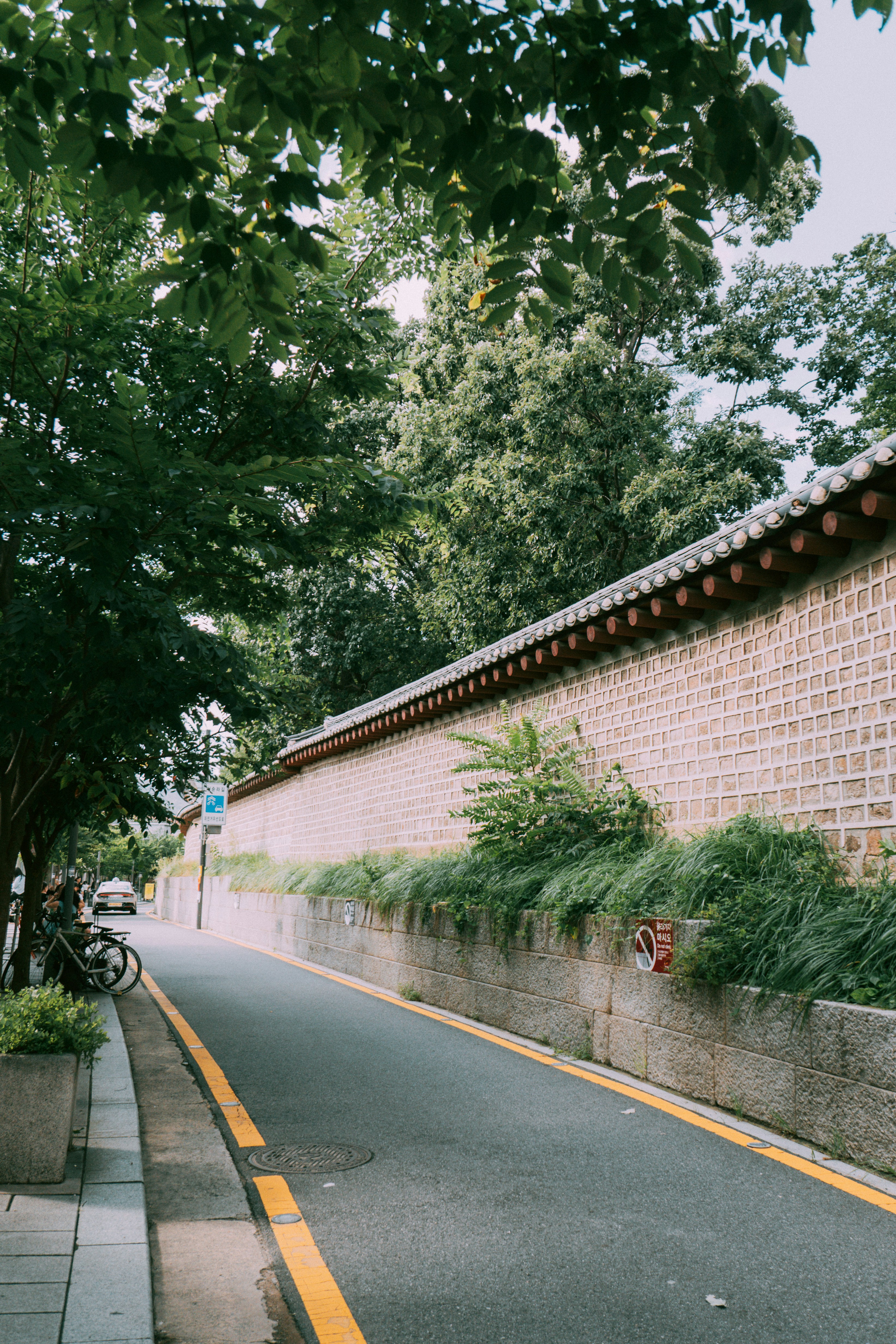 The Language Barrier Reality: Using These Apps Without Korean