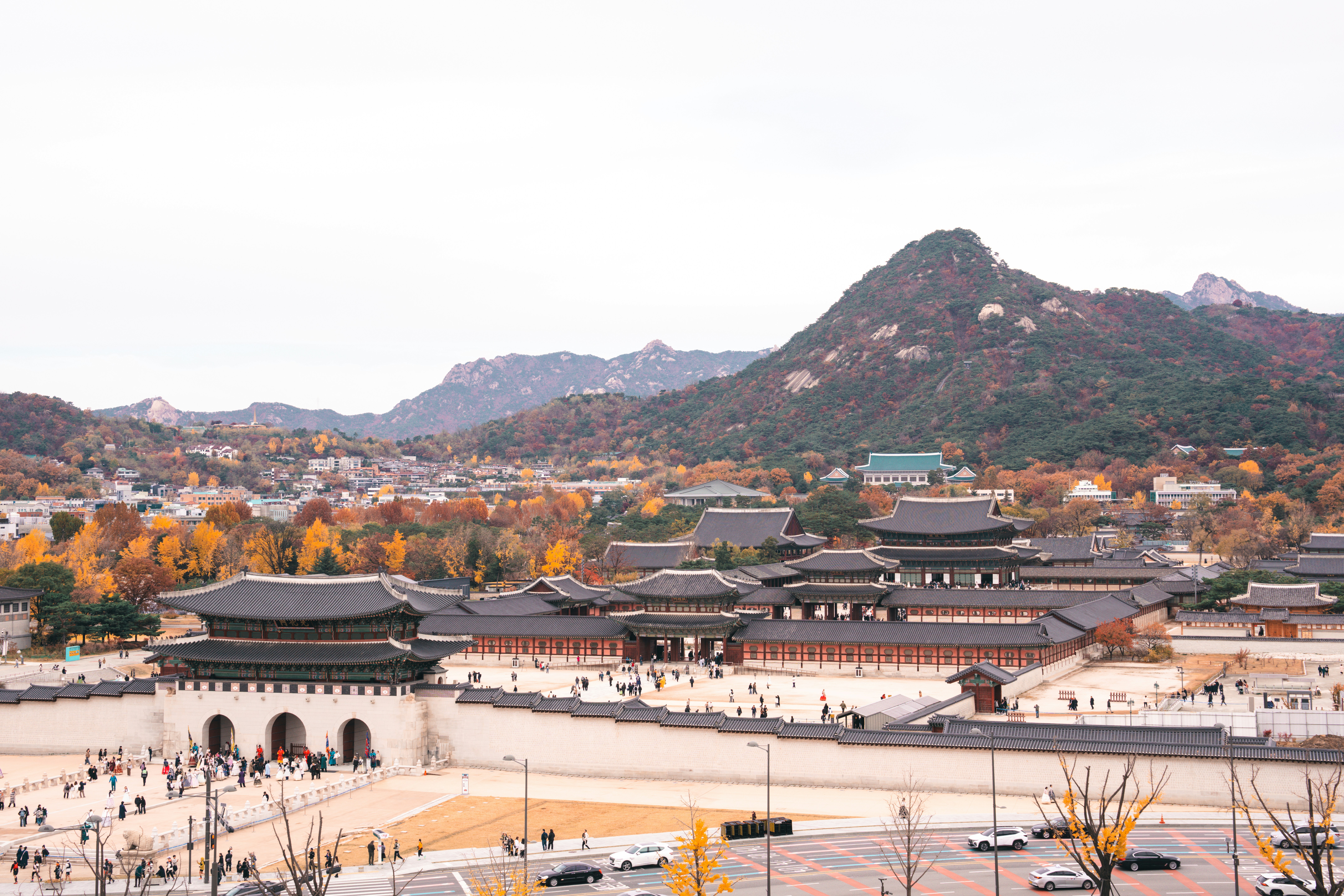 영화가 깨운 '충절의 역사'...단종을 향한 566년 전 그 마음