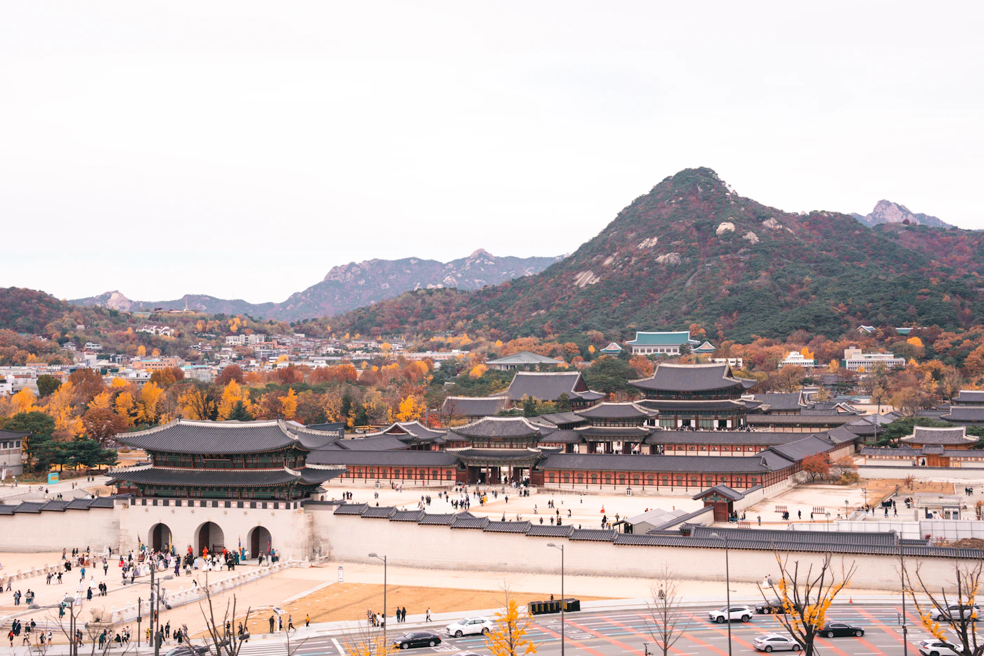 Korean Course