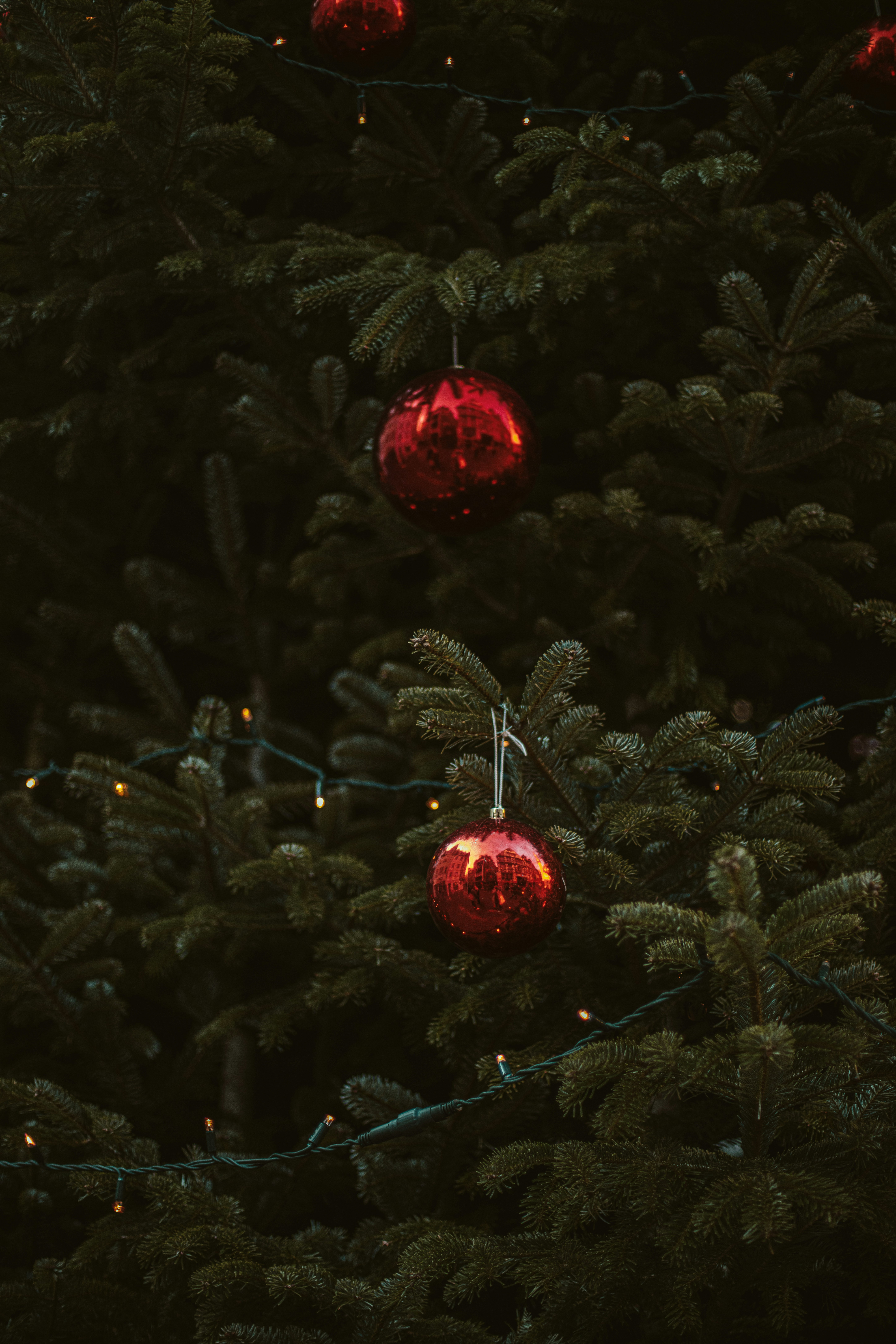 Red ornaments and lights on a christmas tree