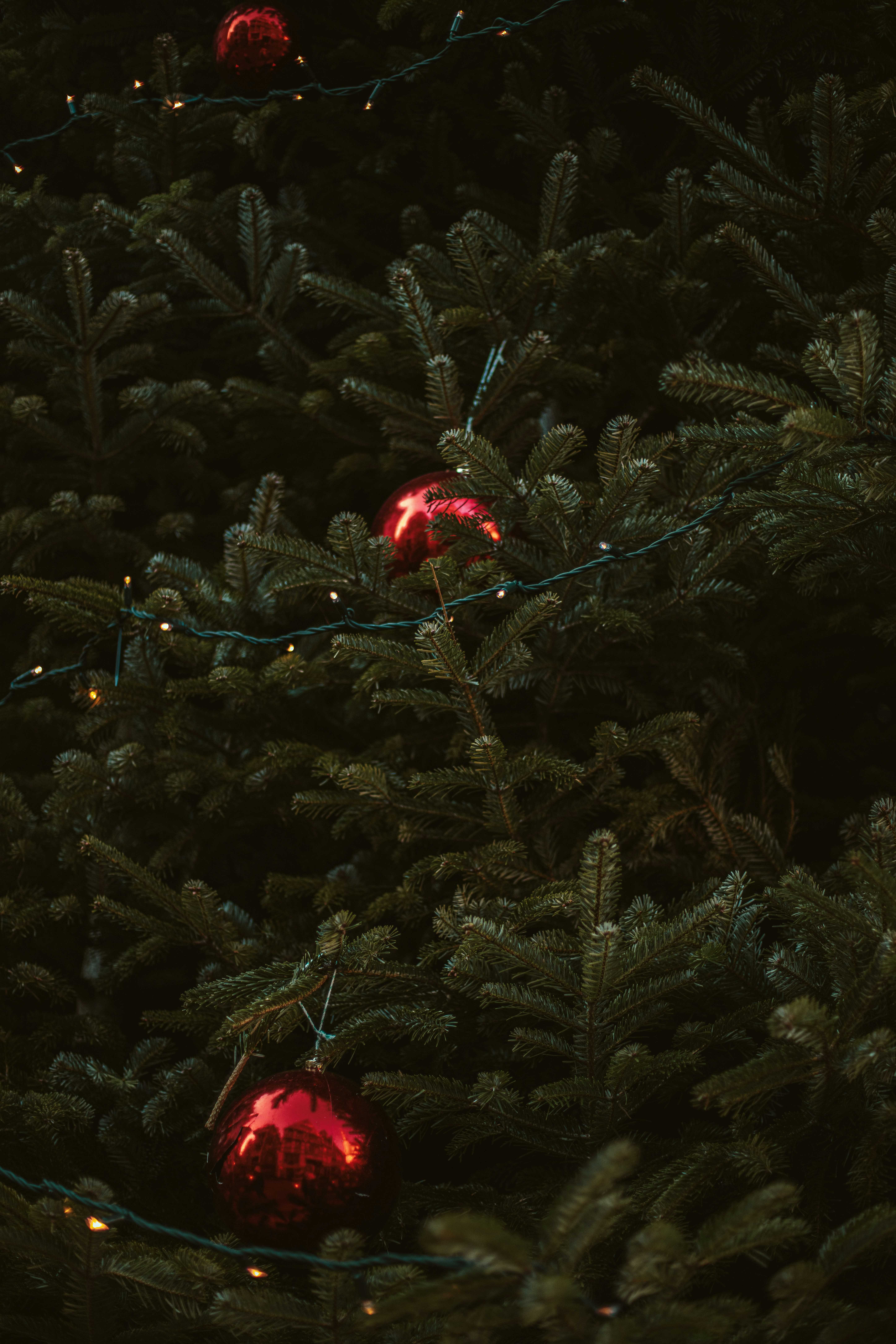Red ornaments and lights on a christmas tree
