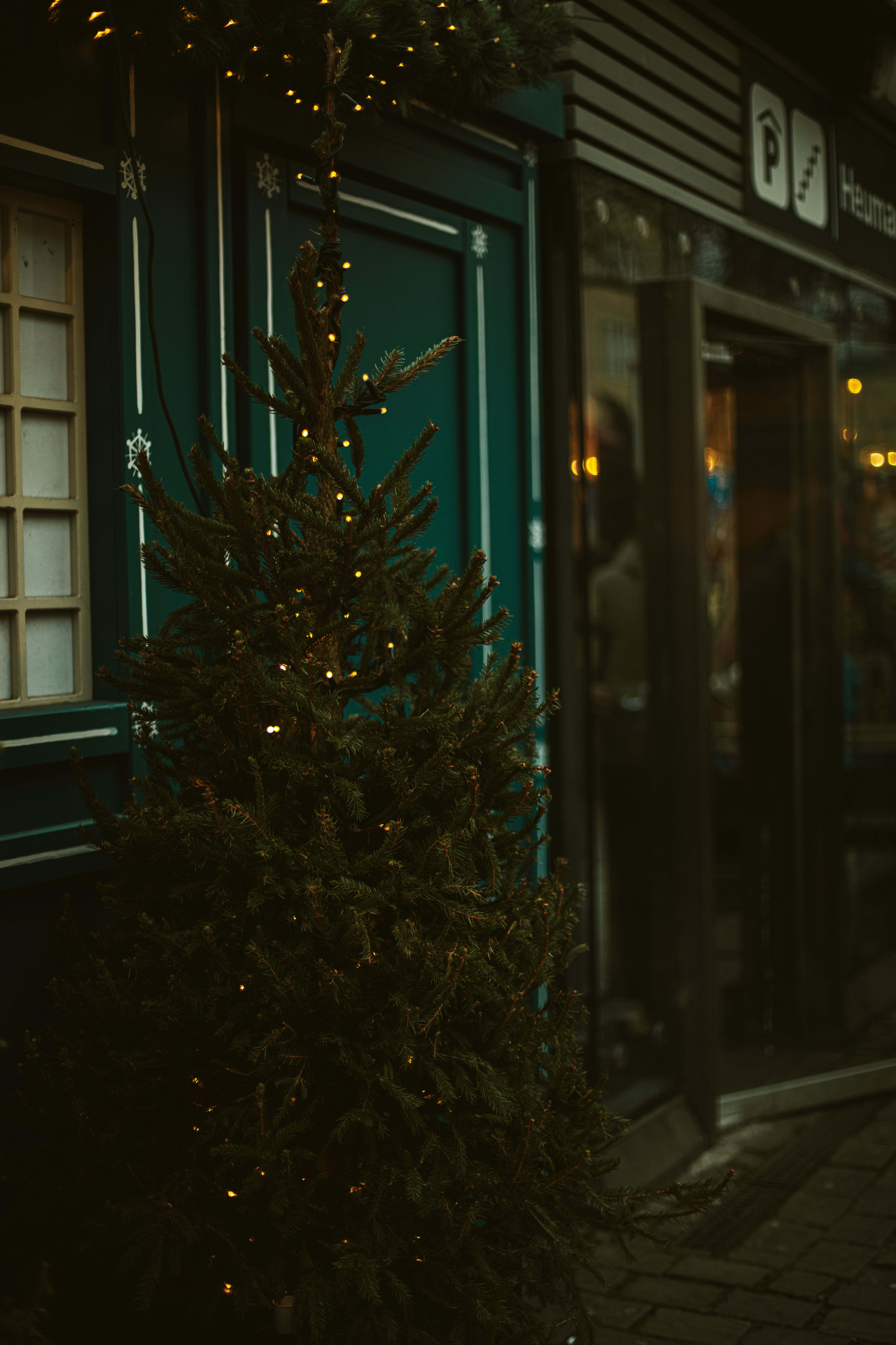 Decorated christmas tree outside a building at night.
