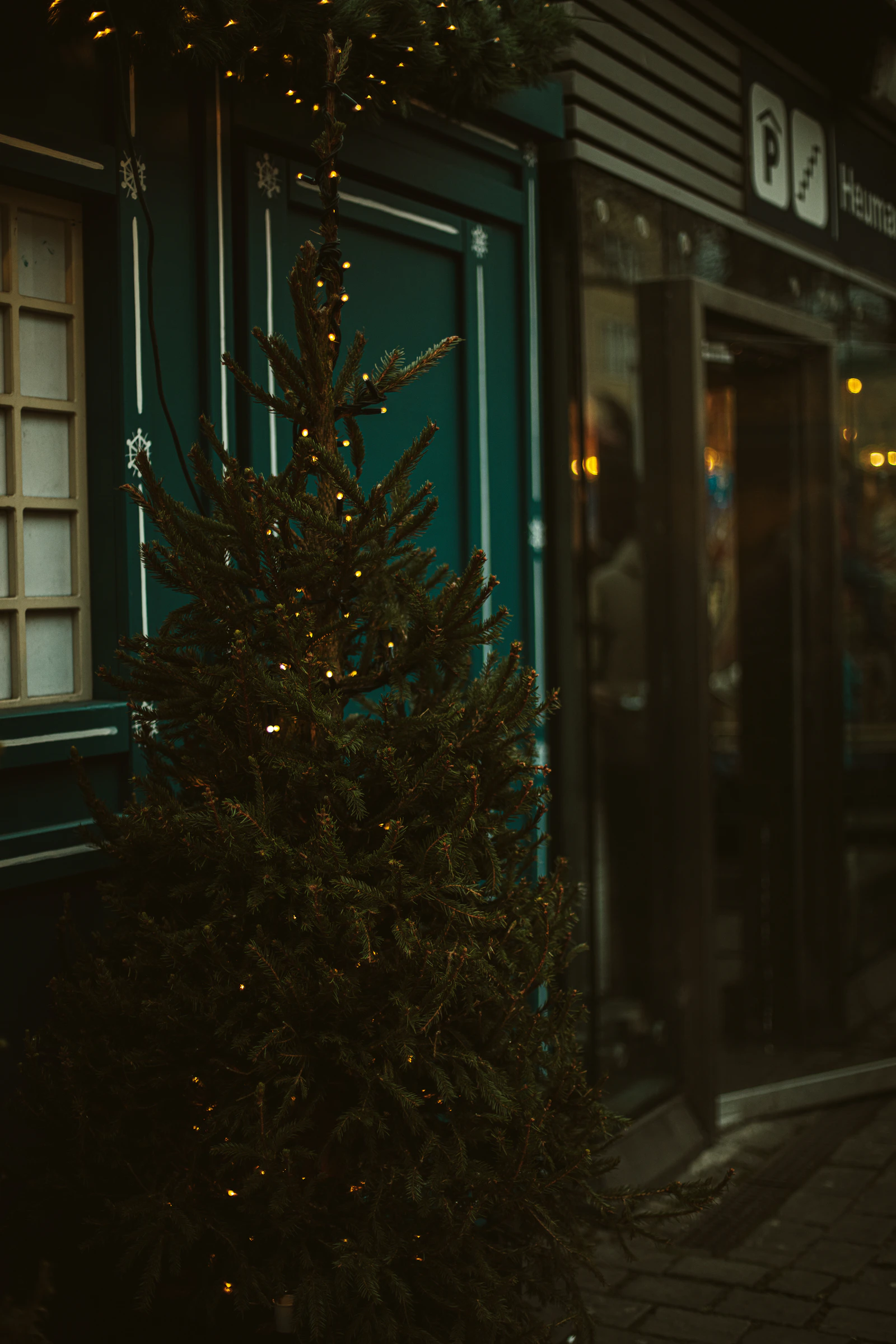 Decorated christmas tree outside a building at night