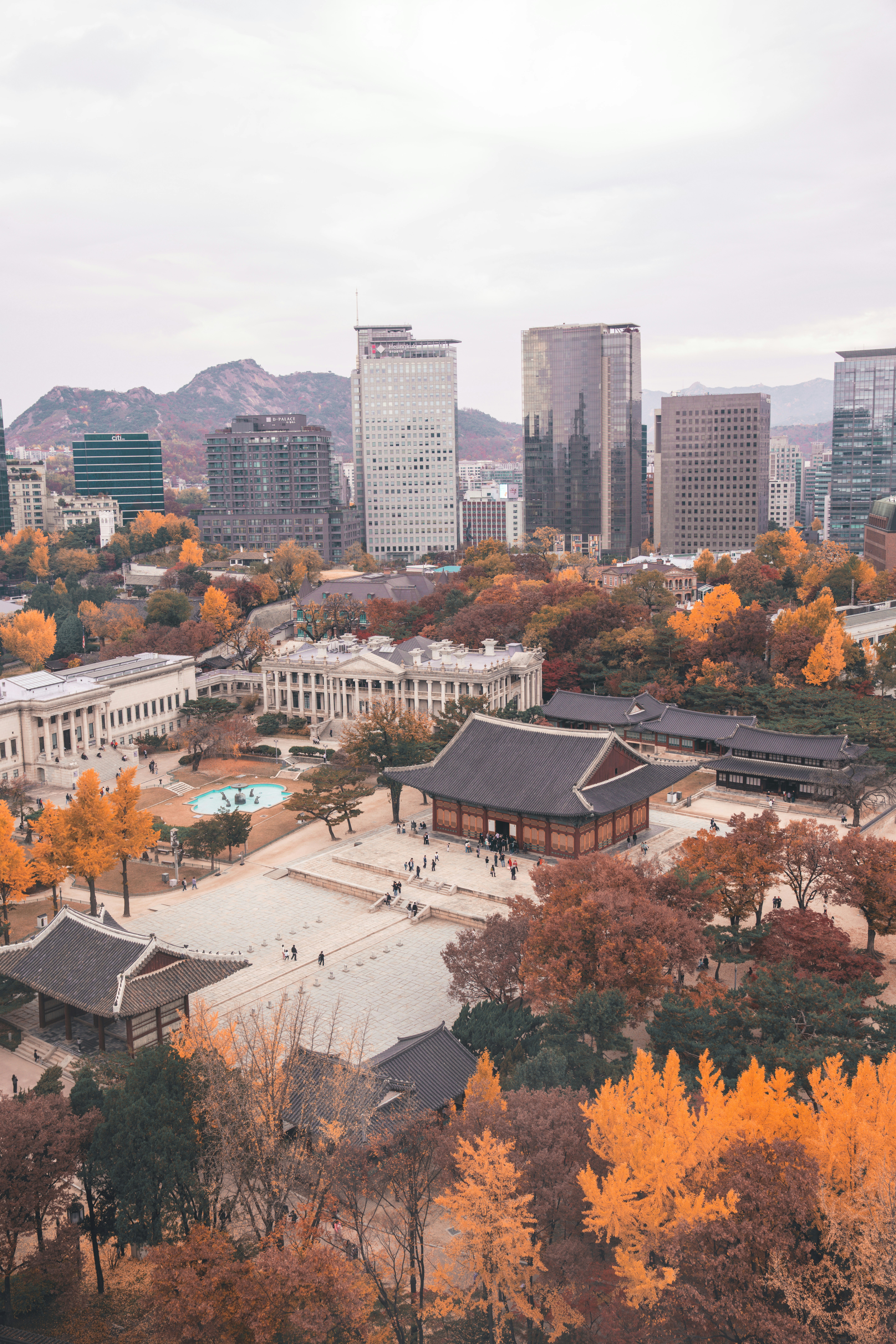 Autumn foliage surrounds traditional buildings and modern skyscrapers.