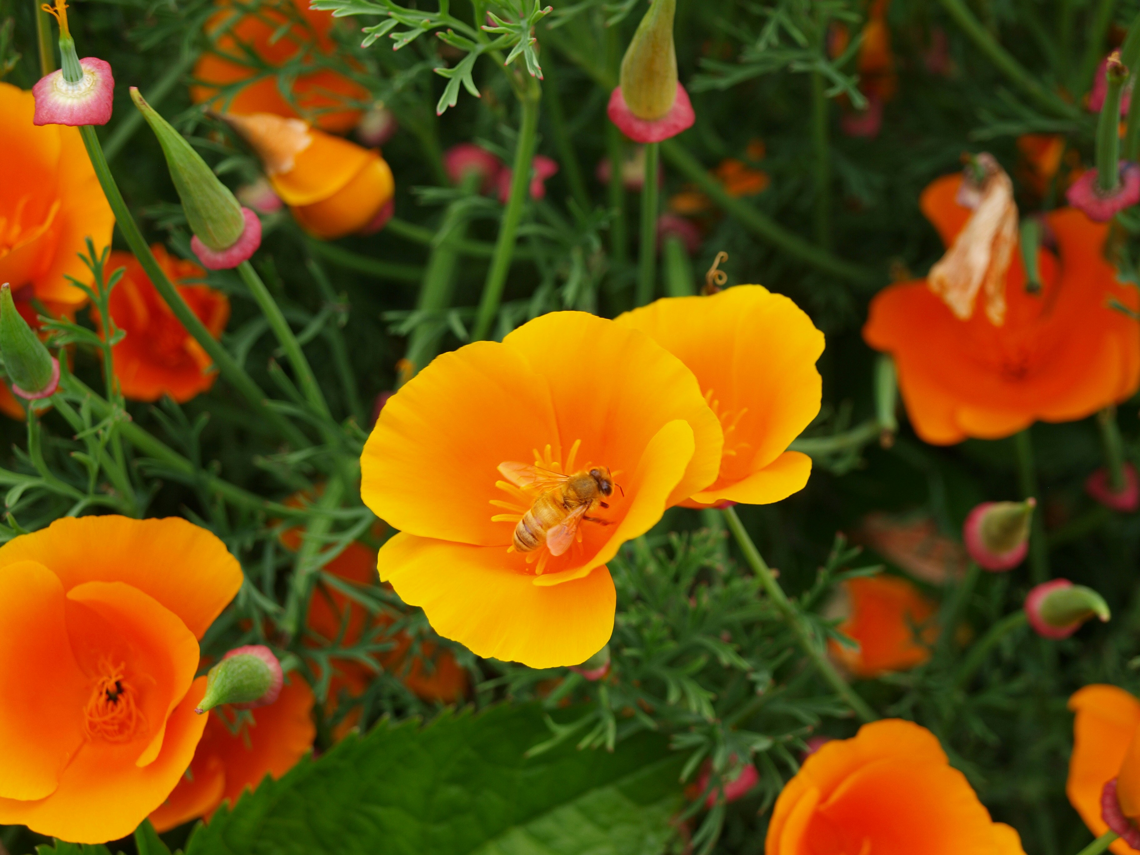 Photo by lutruwita_exposure