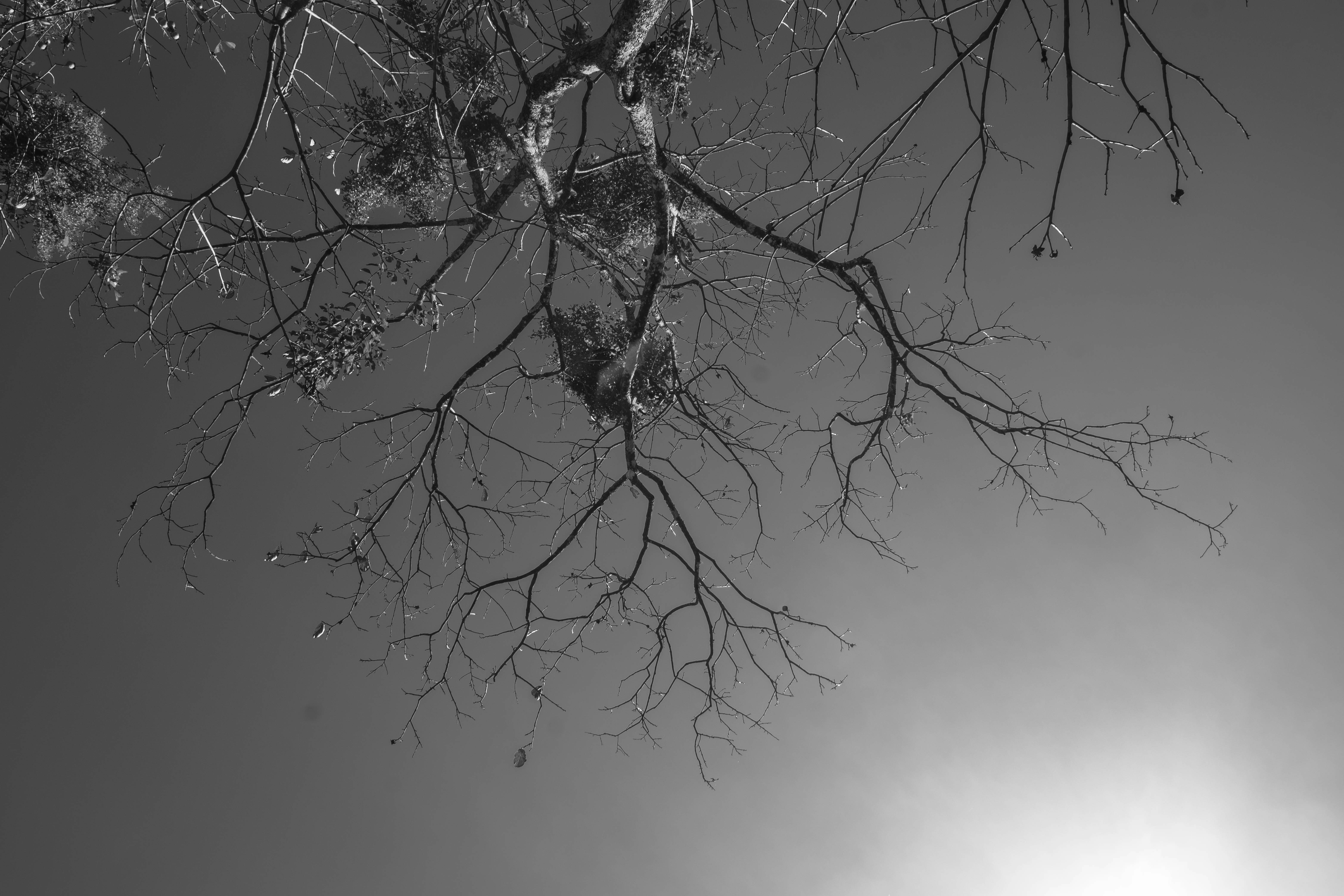 Photo by hieptltb97