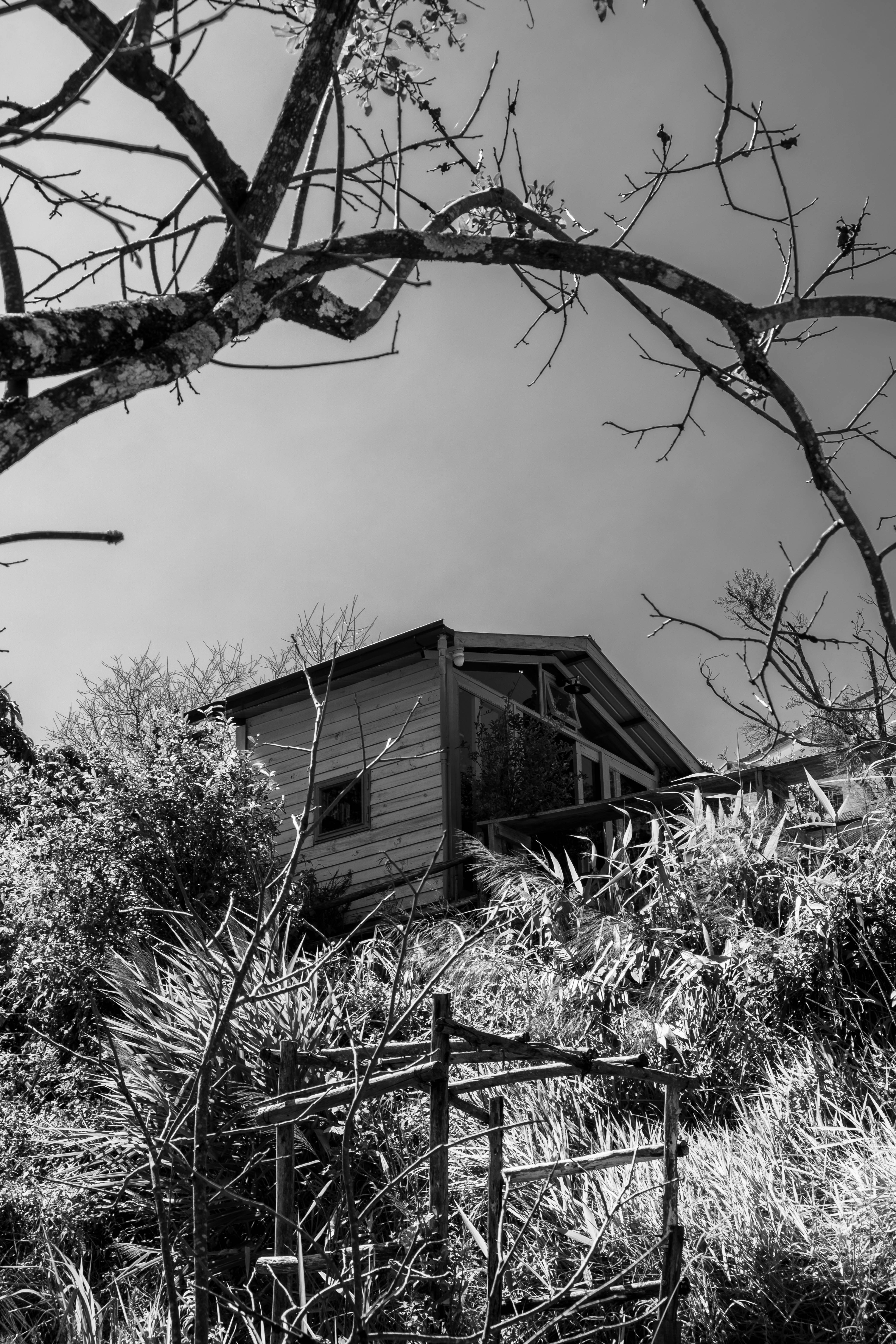 Wooden cabin nestled on a grassy hill under trees