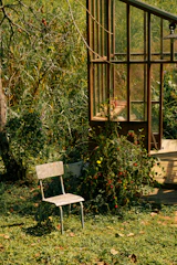 Empty chair in a lush garden near a greenhouse