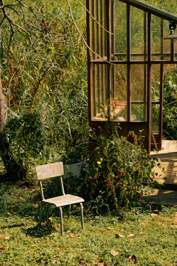 Empty chair in a lush garden near a greenhouse
