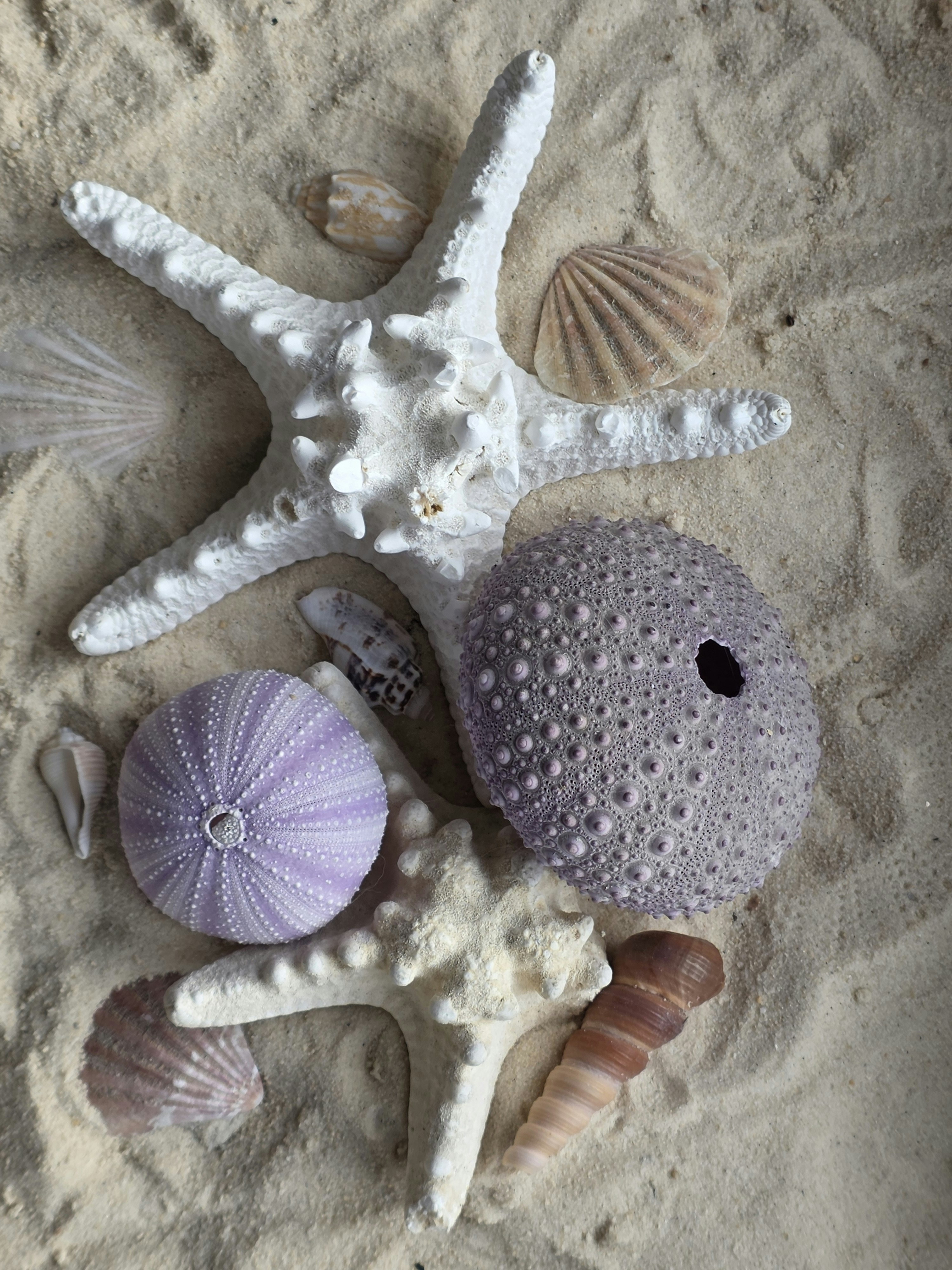 Photo by mermaidsirena