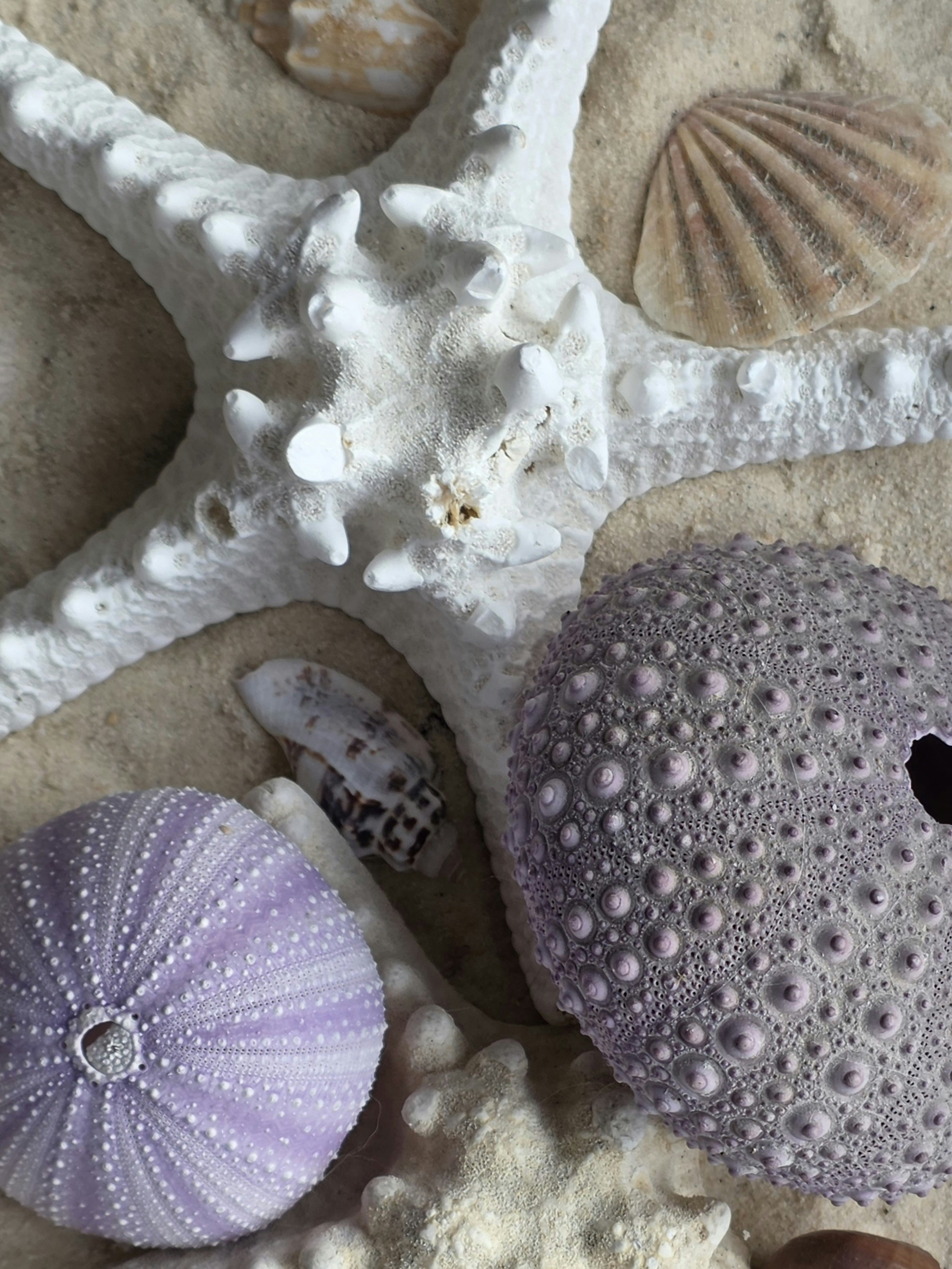 kids room coastal wallpaper, wallpaper, Coastal Bookshelves for Kids: Design & Inspiration 4