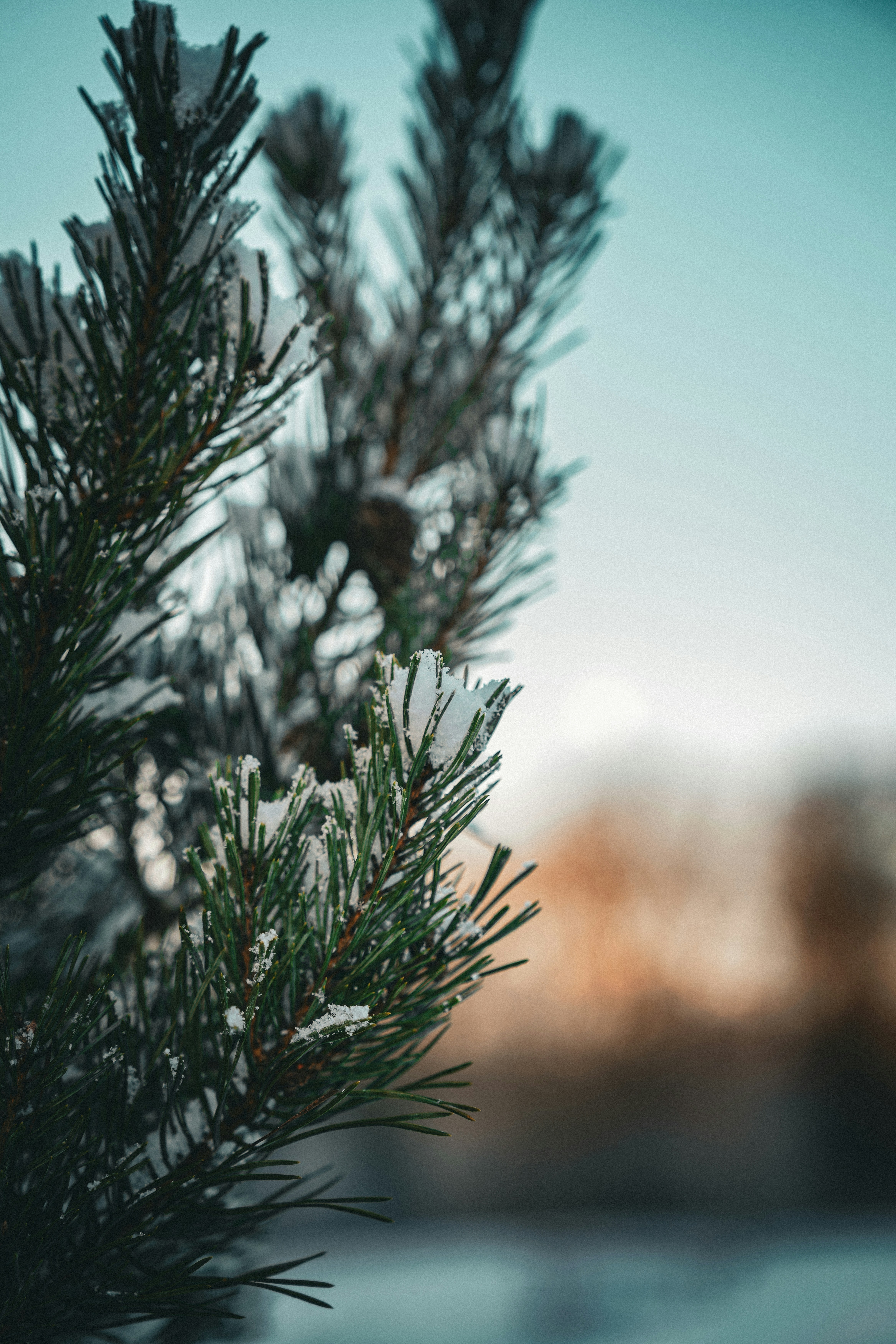 Photo by ayotundeikuesan