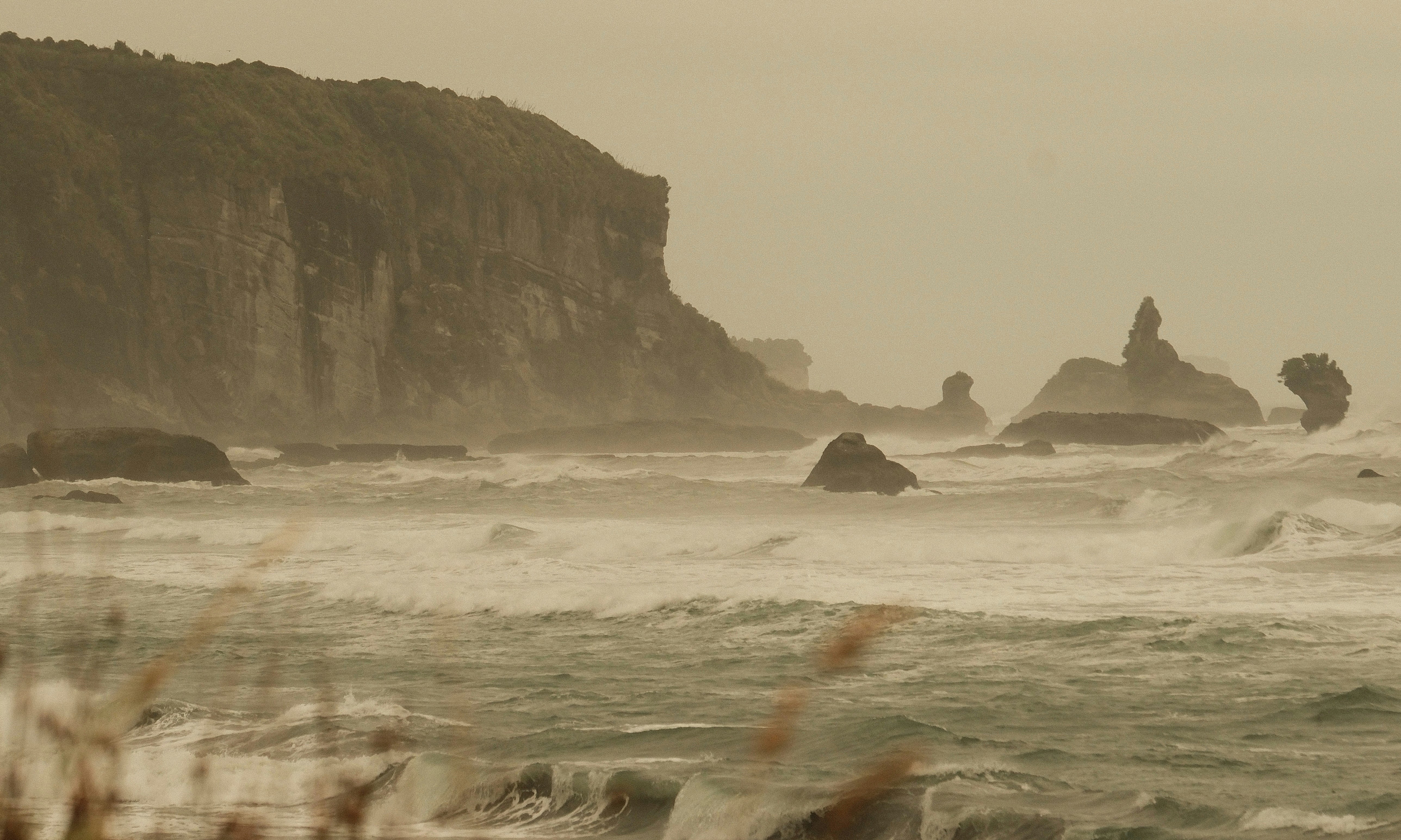 Photo by ginkgoshutter