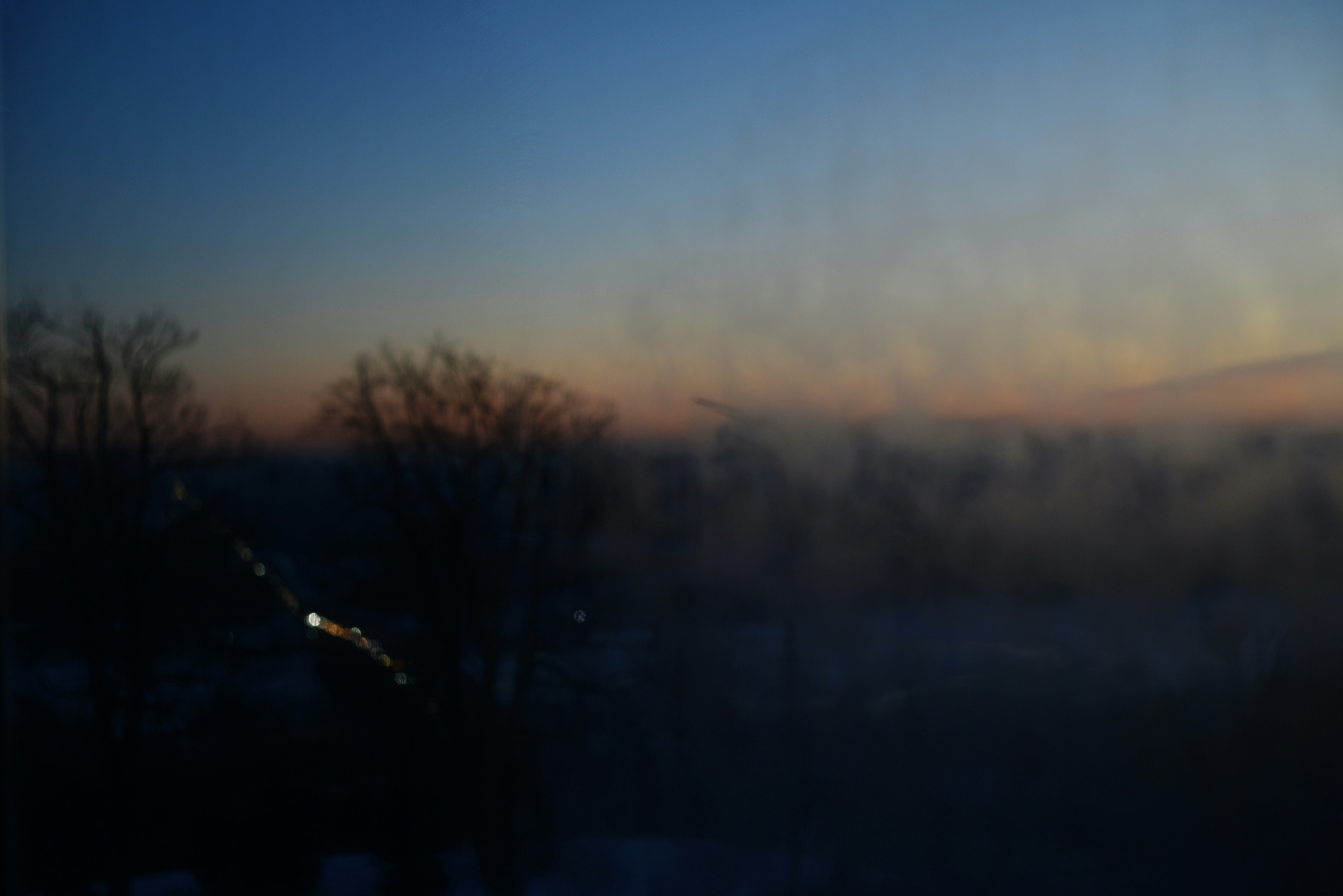 Dark misty landscape at dawn with bare trees.