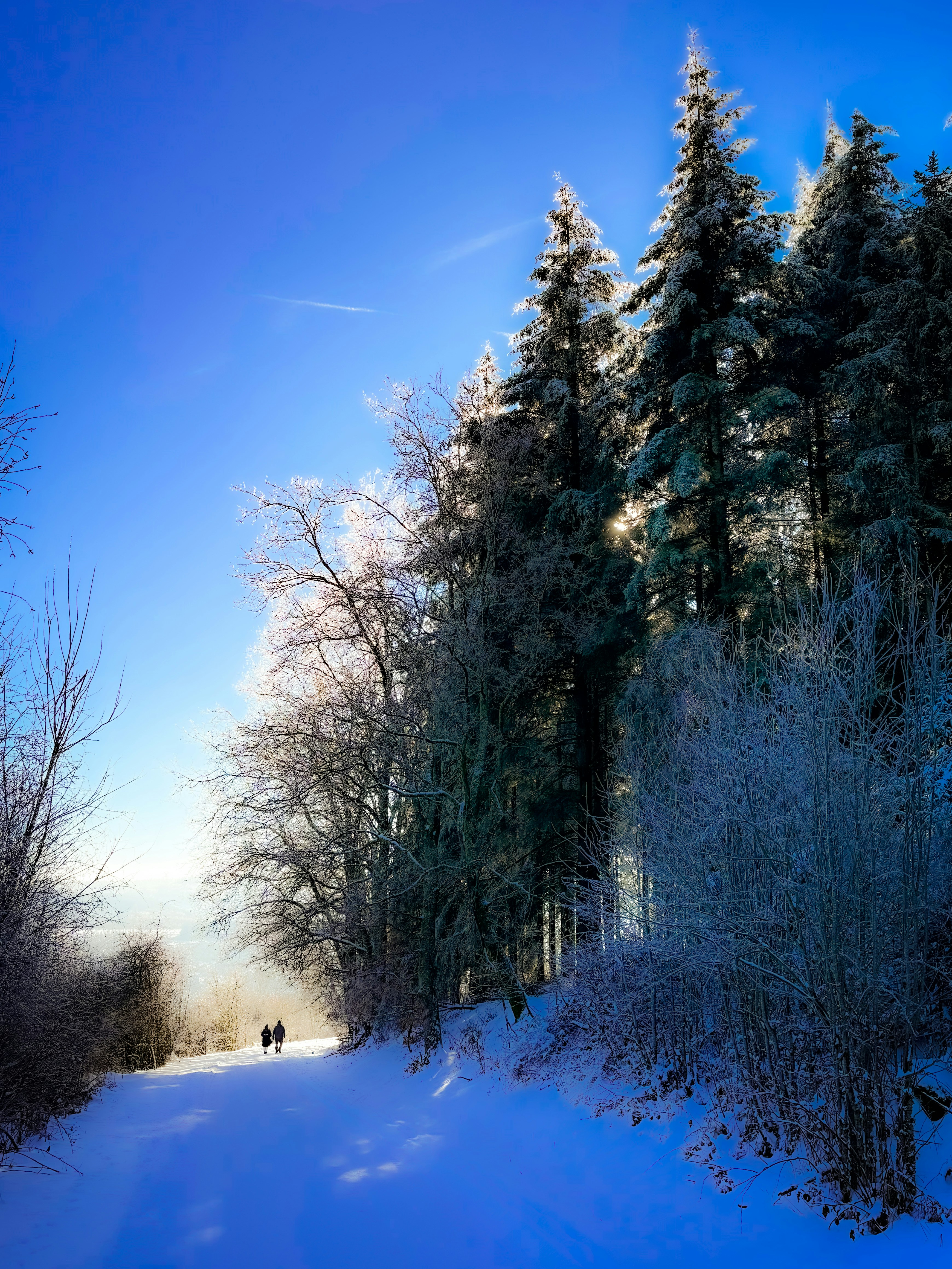 Photo by alcibiadedespoissons