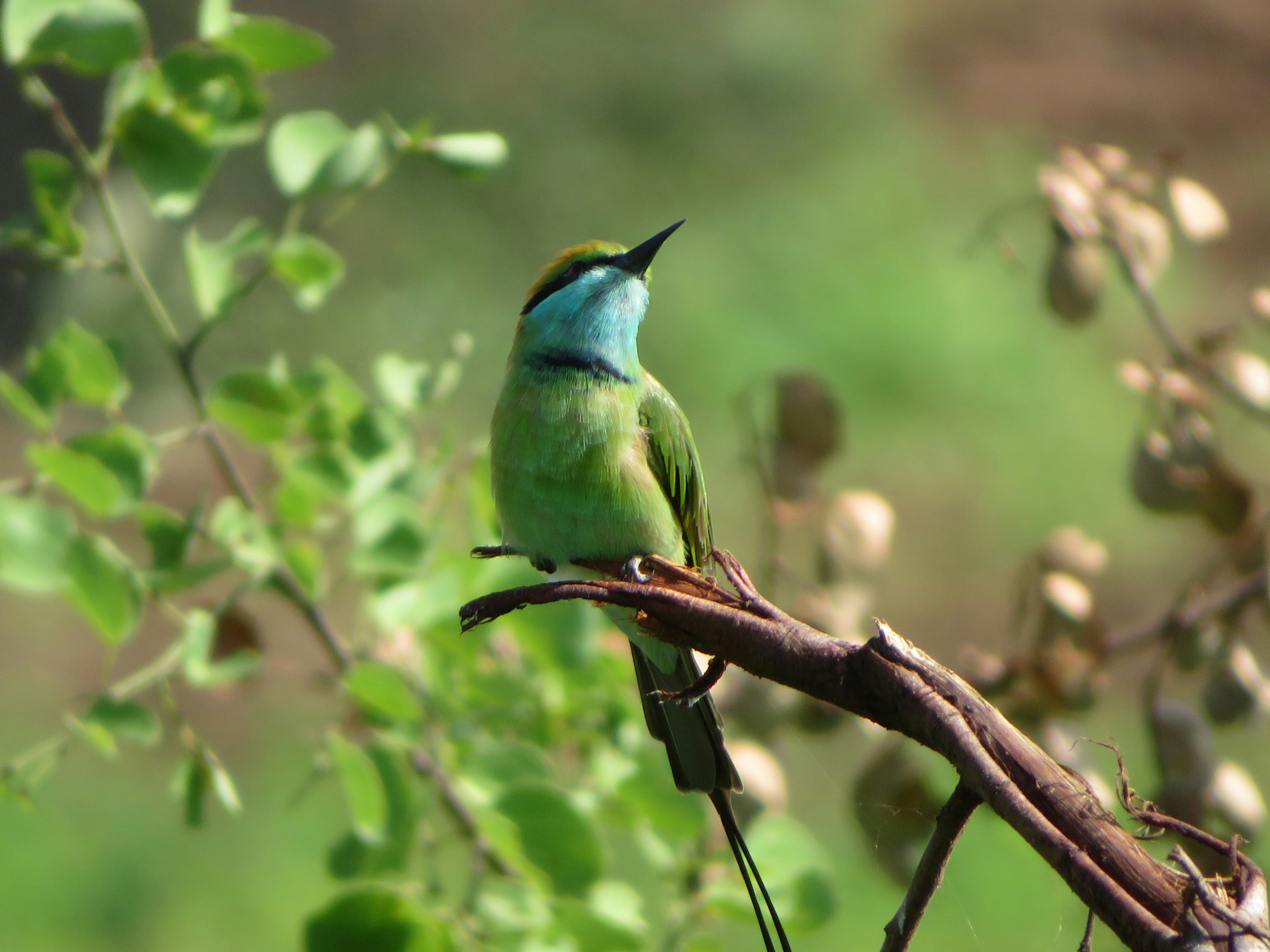 Photo by madeleineammann