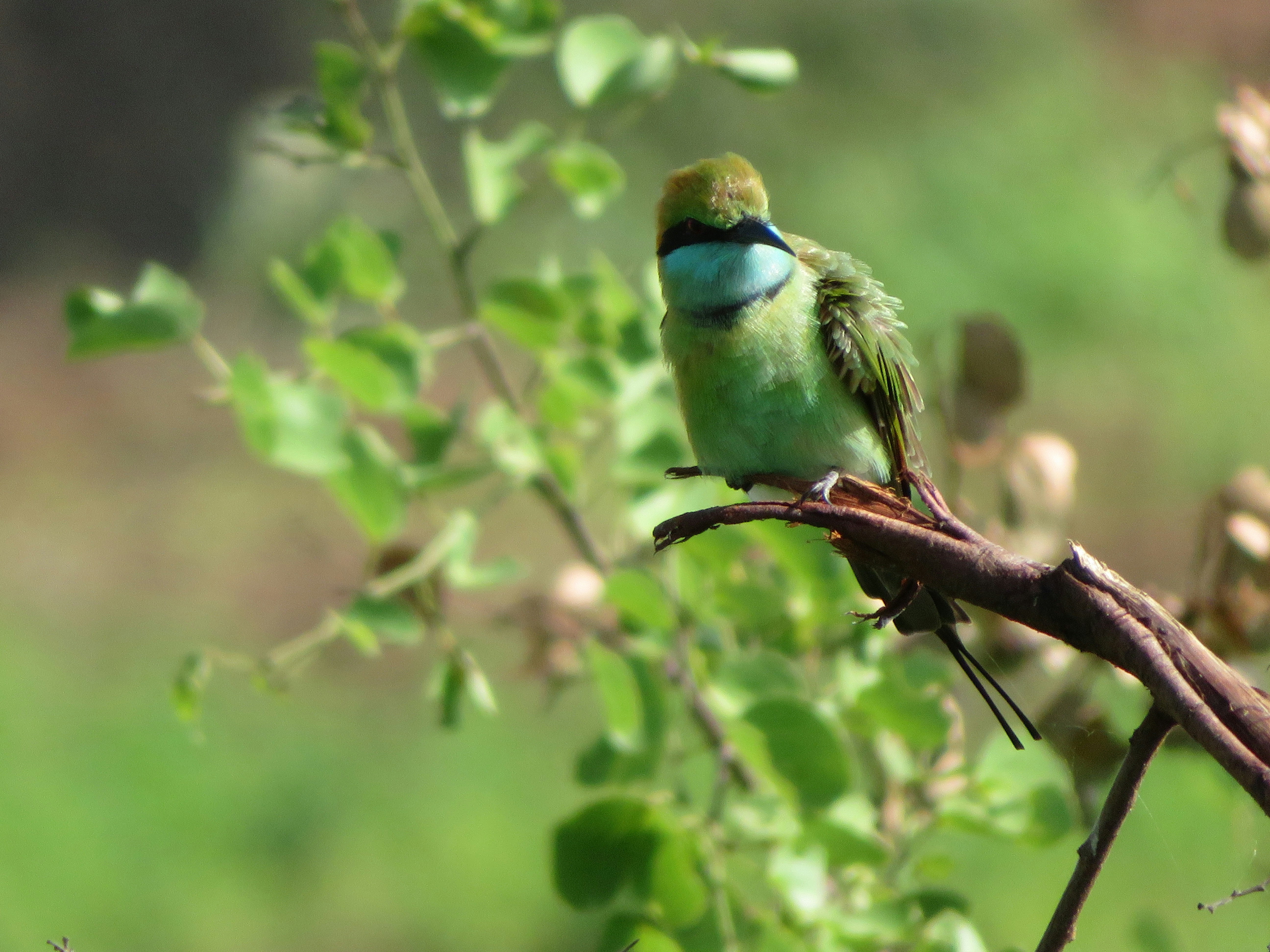 Photo by madeleineammann