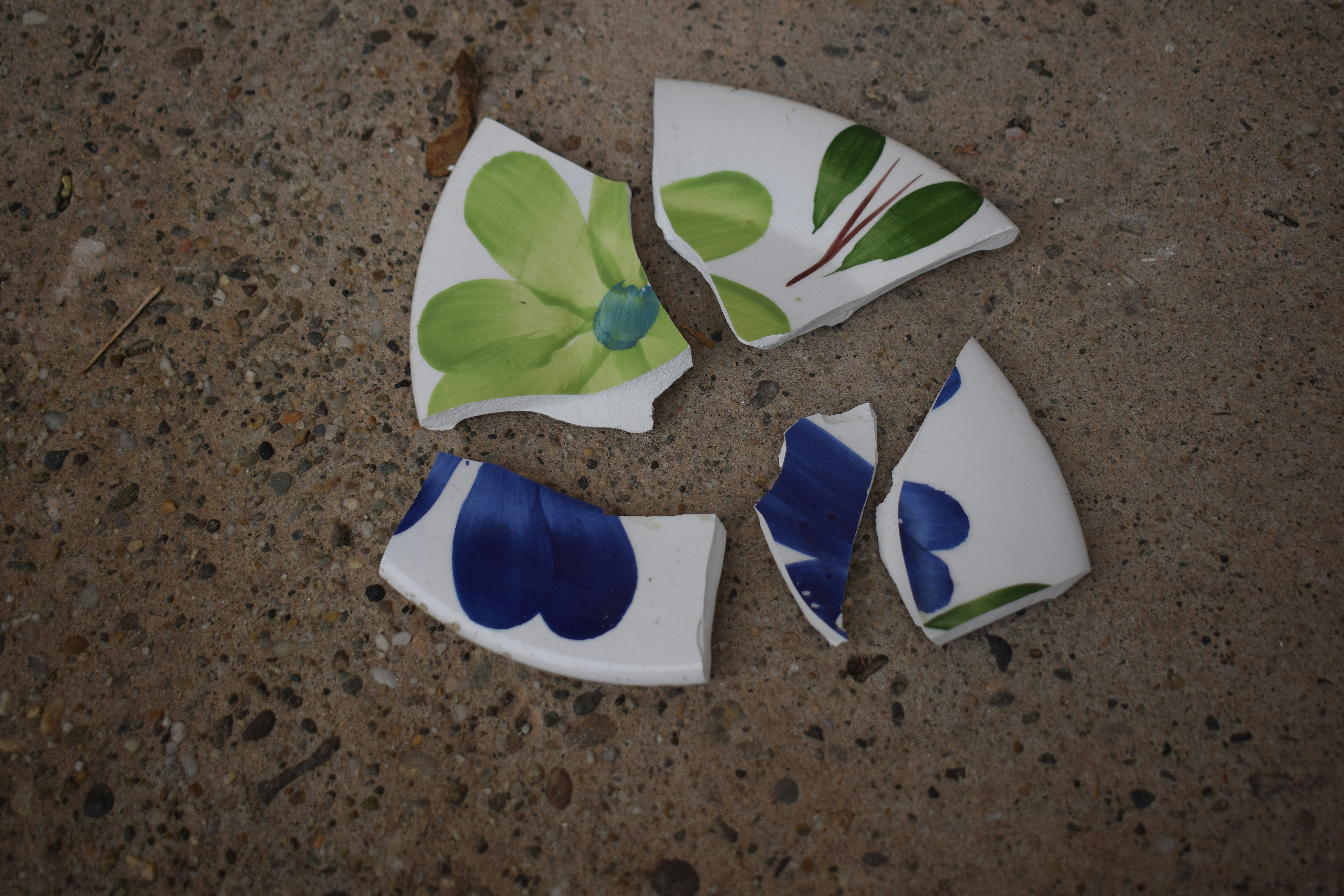 Broken ceramic pieces with floral patterns on concrete.