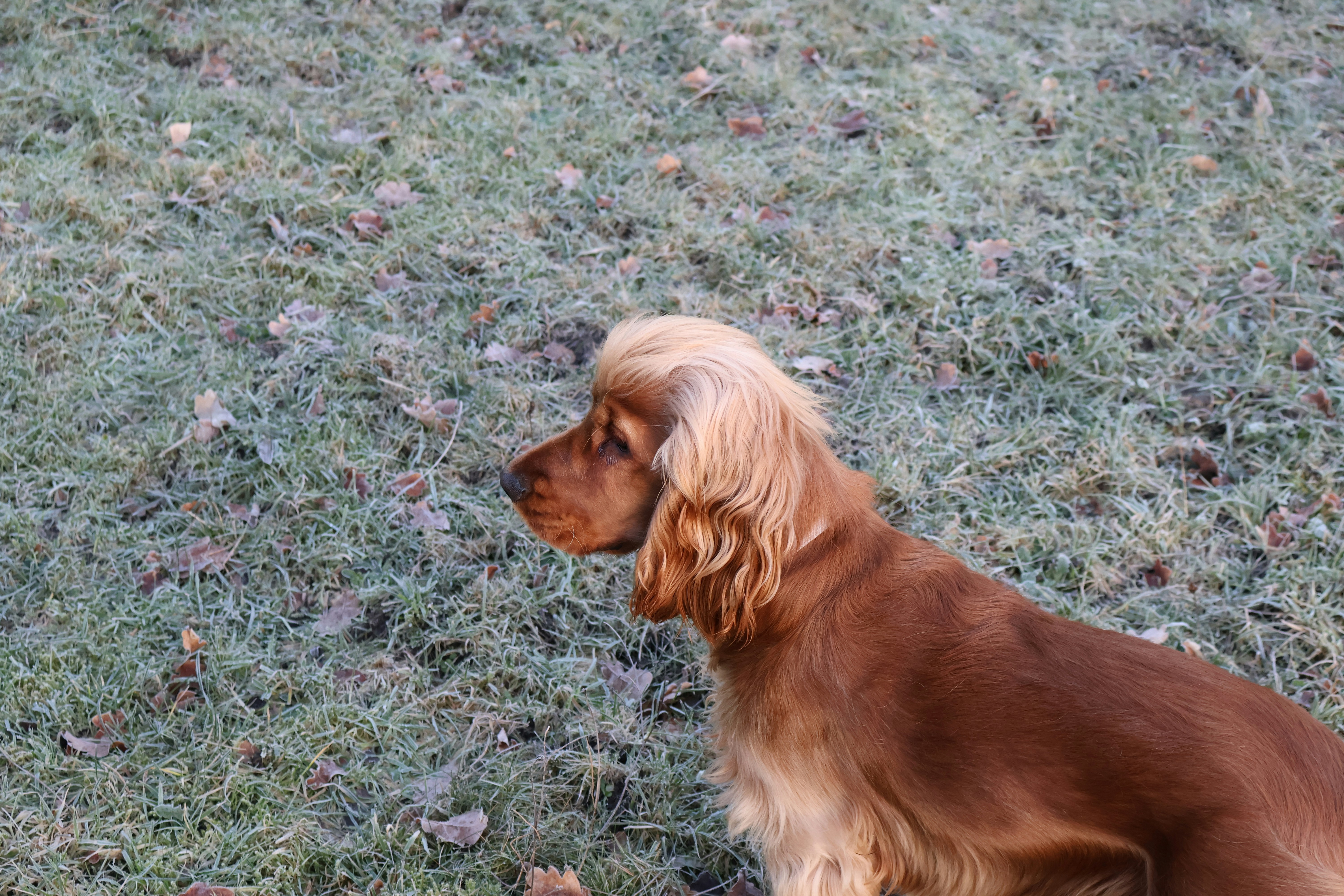 Photo by tanyabarrow