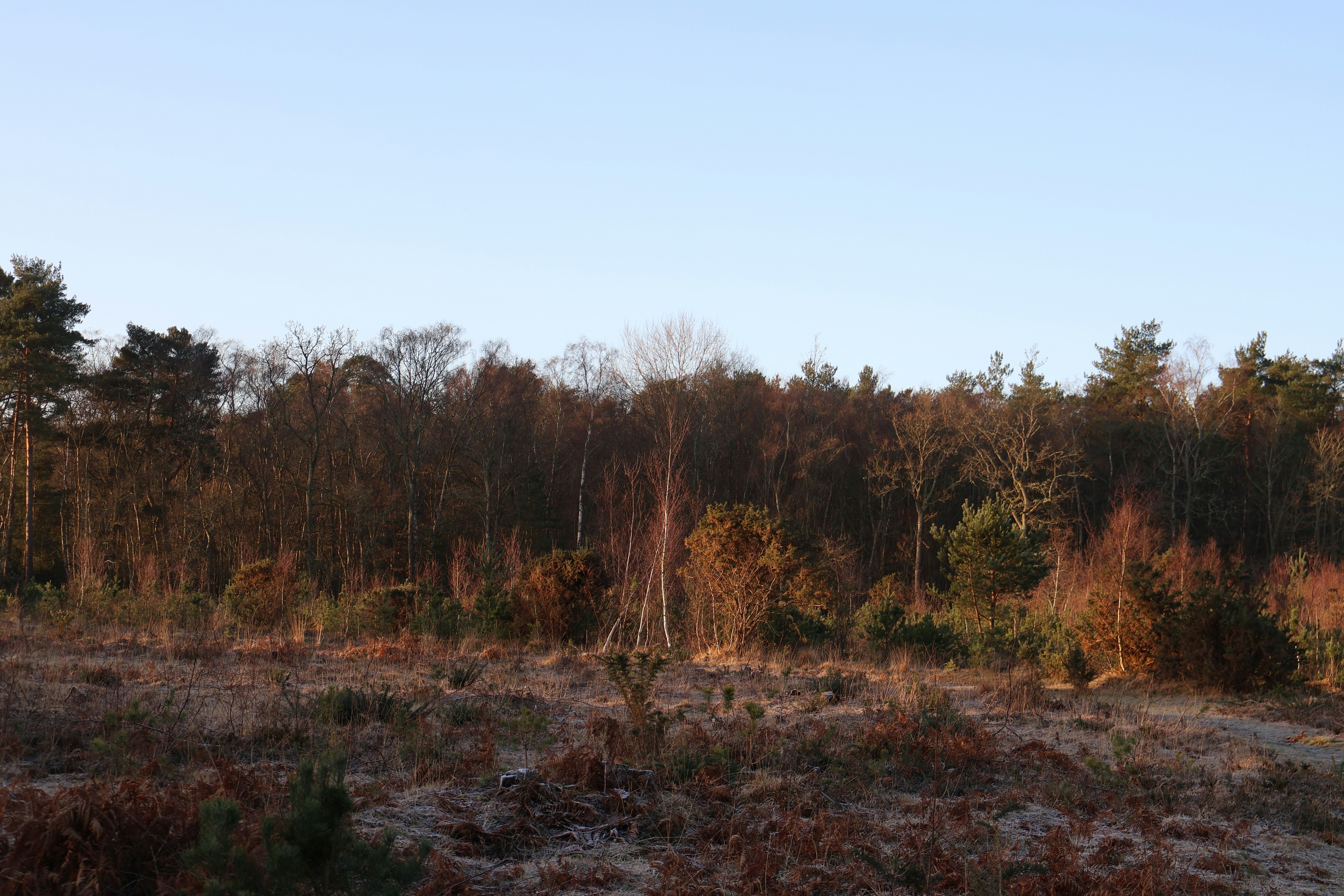 Photo by tanyabarrow