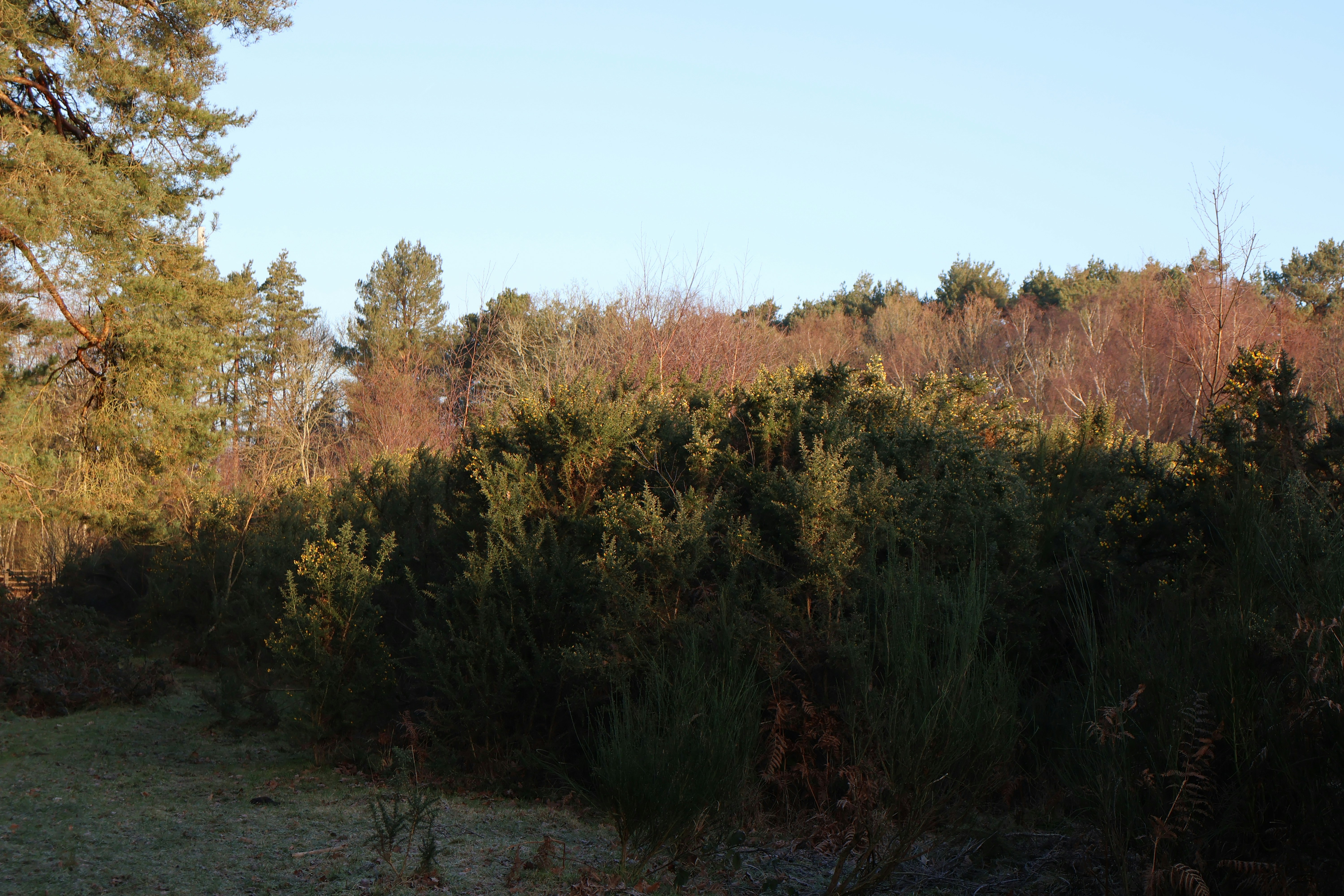 Photo by tanyabarrow