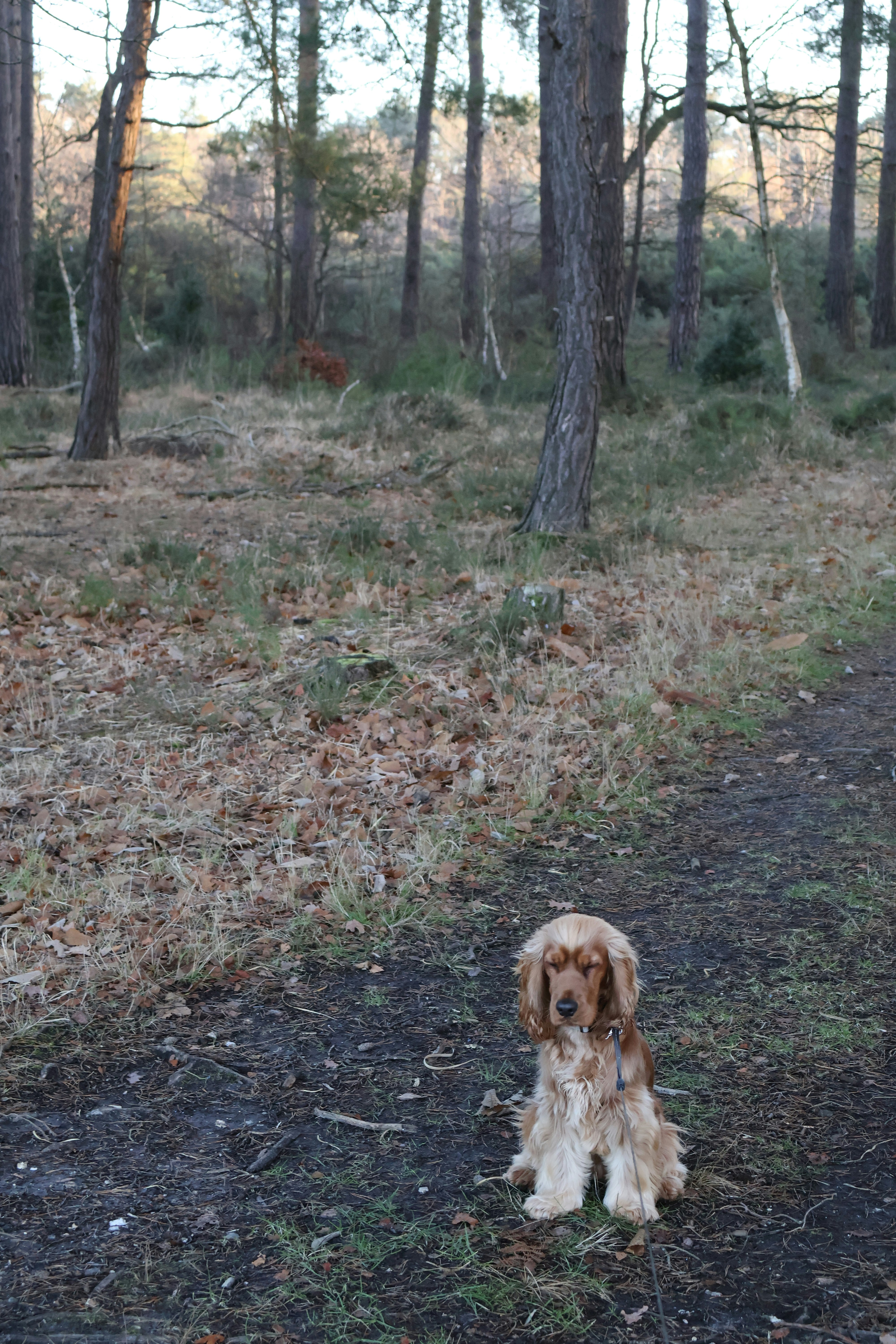 Photo by tanyabarrow