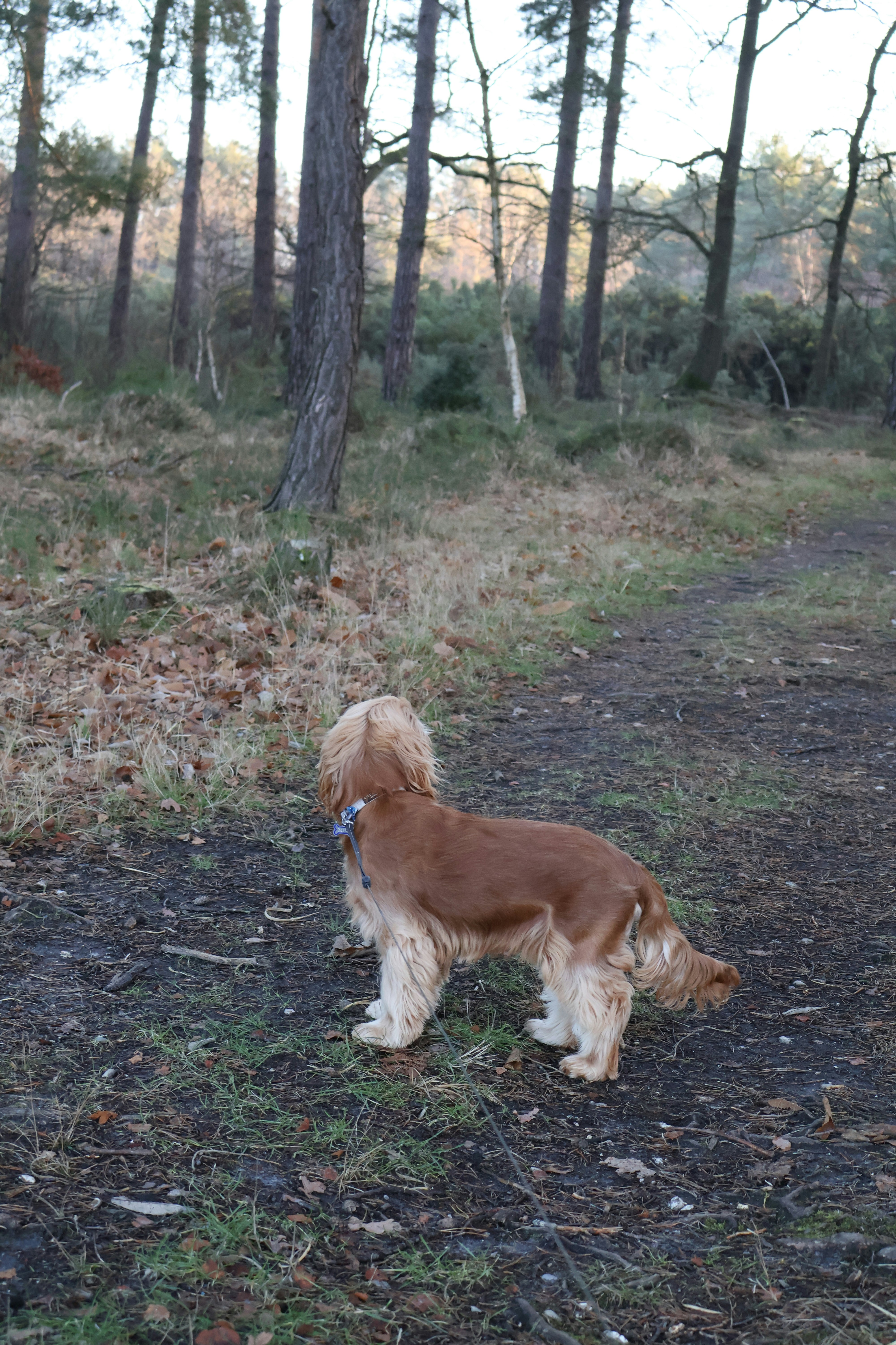 Photo by tanyabarrow