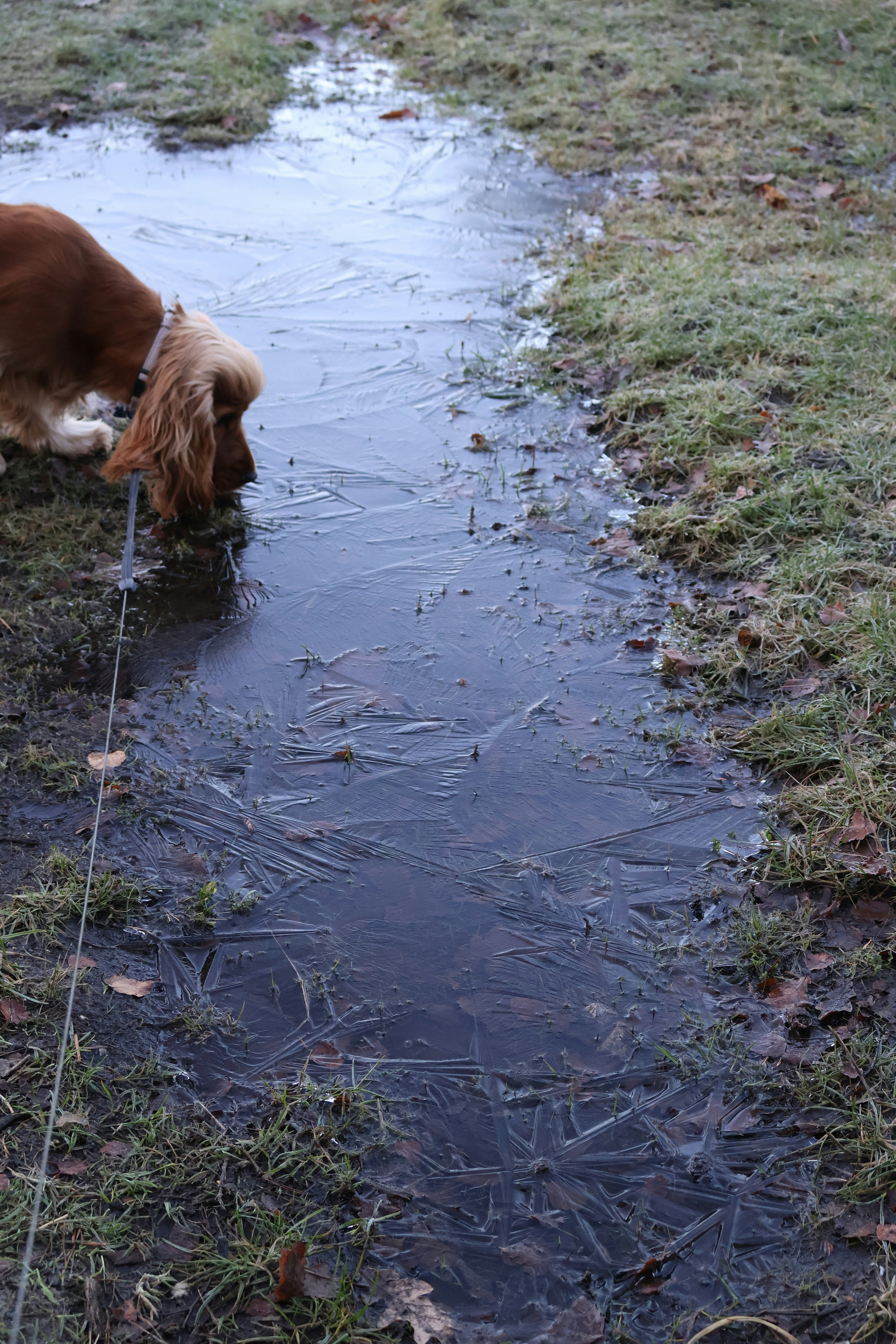drinking water winter
